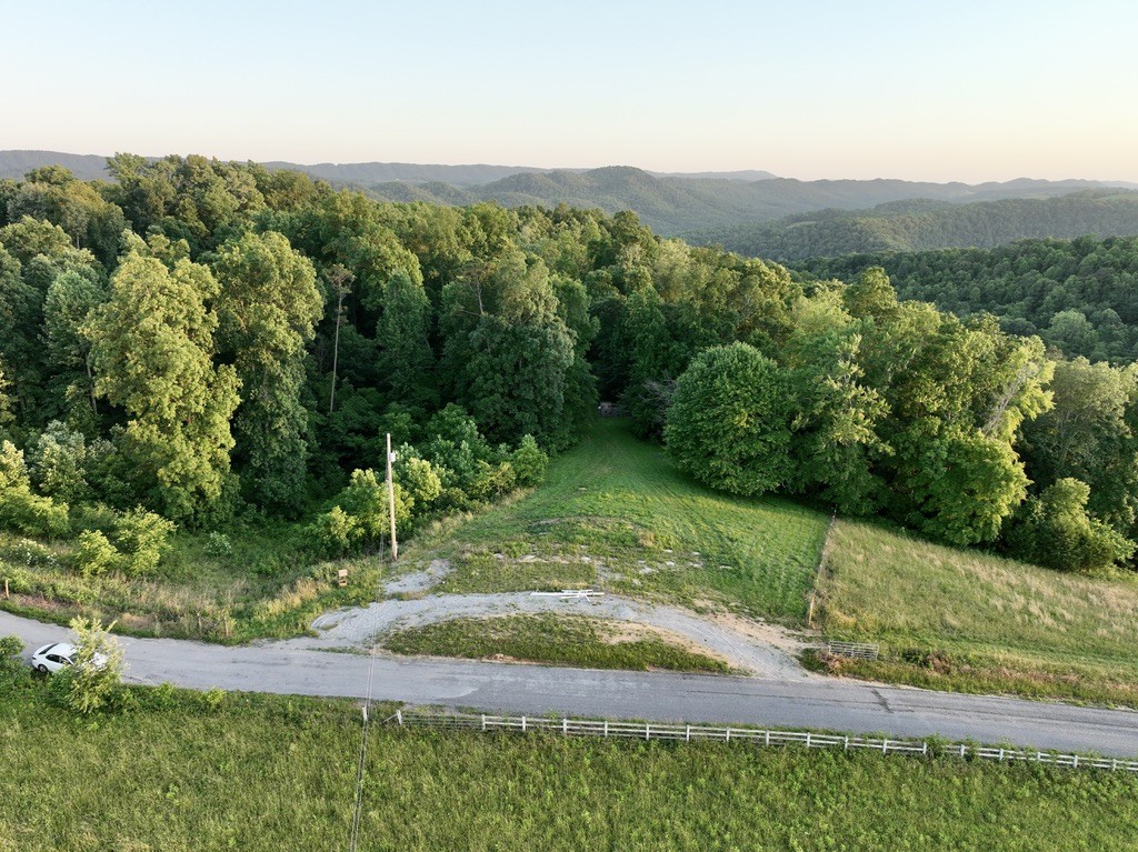 2083 Bundren Mountain Rd Property Photo 28