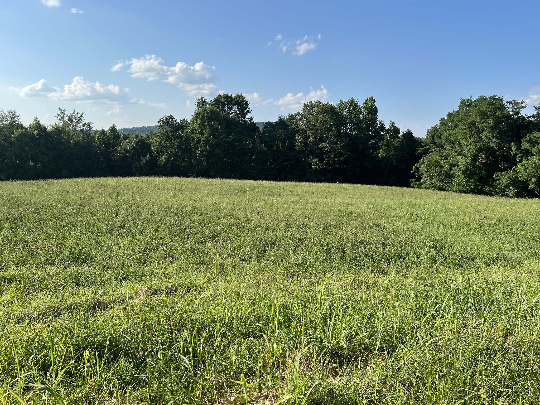 0 Amonette Circle Property Photo 44