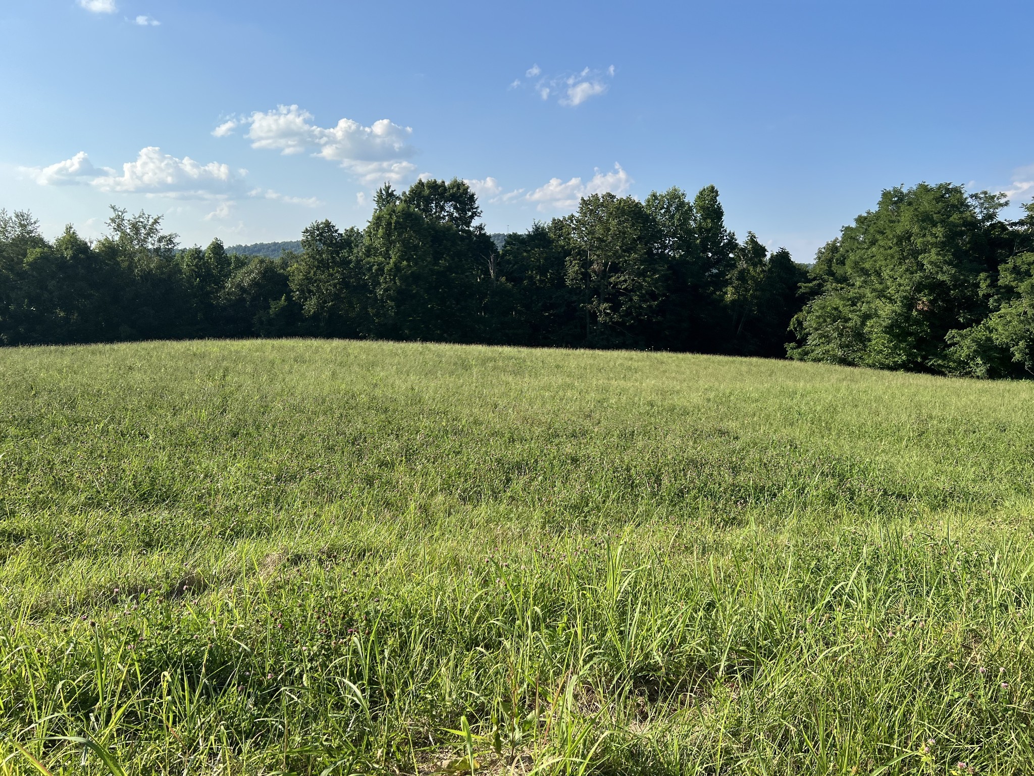 0 Amonette Circle Property Photo 33