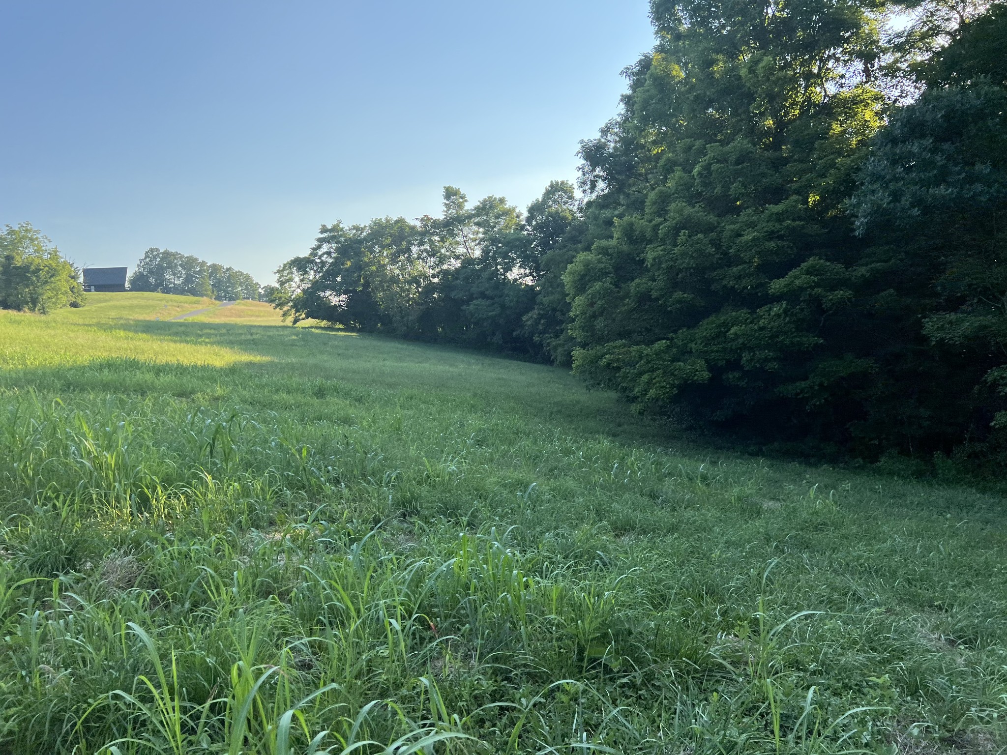 0 Amonette Circle Property Photo 44