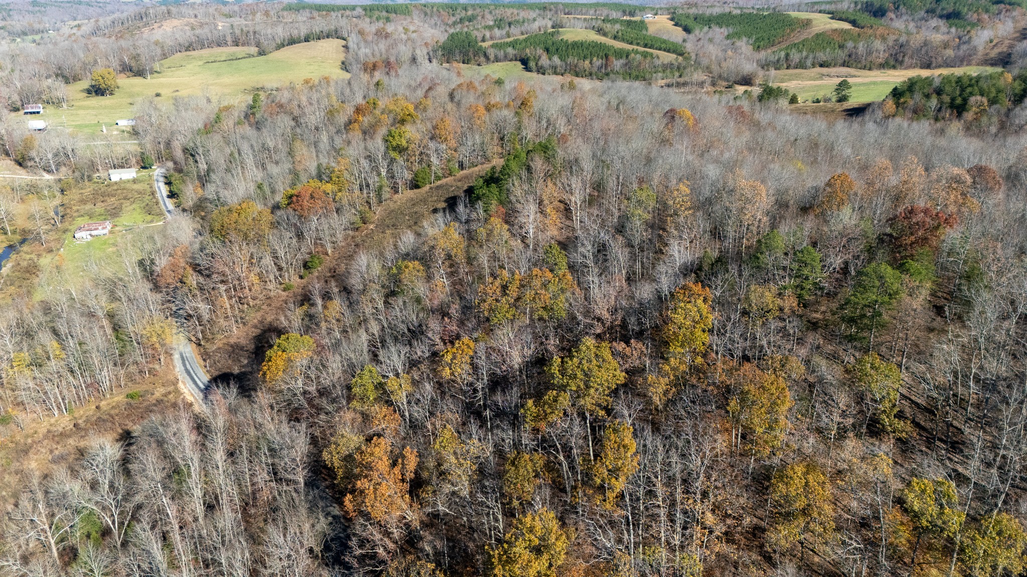0 Moccasian Creek Rd Property Photo 7