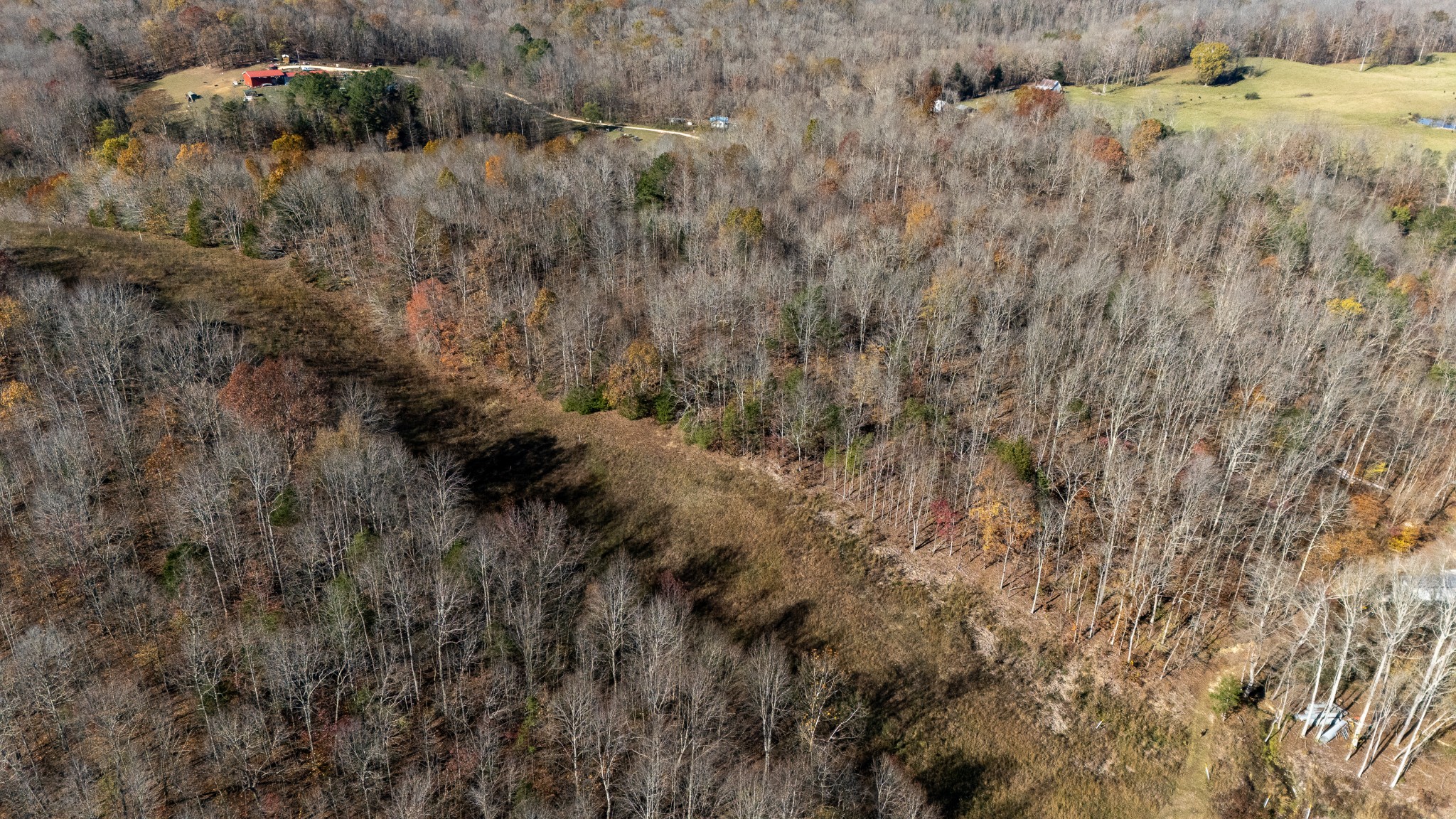 0 Moccasian Creek Rd Property Photo 8