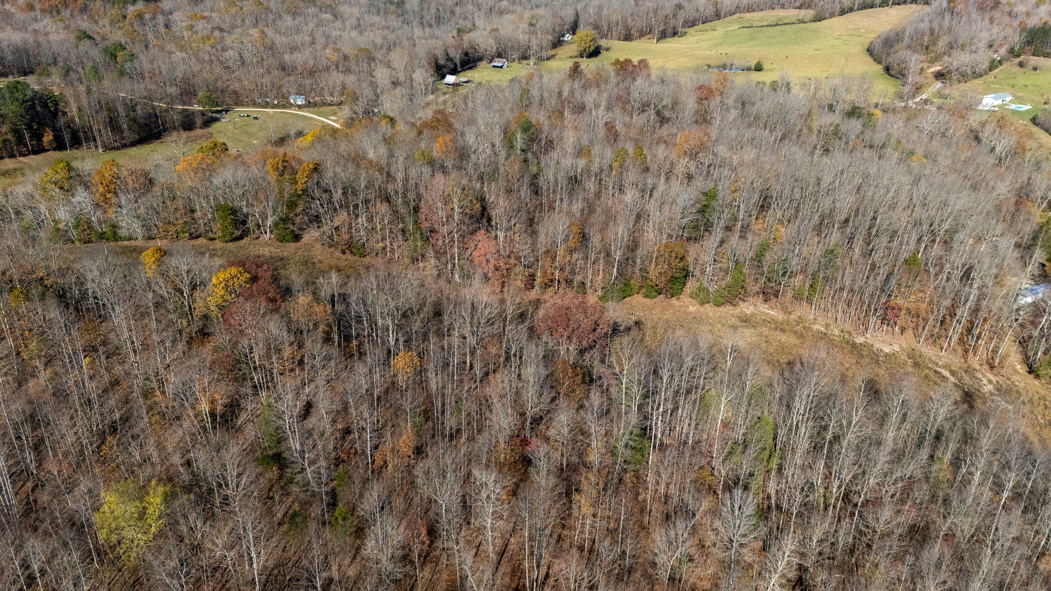 0 Moccasian Creek Rd Property Photo 9