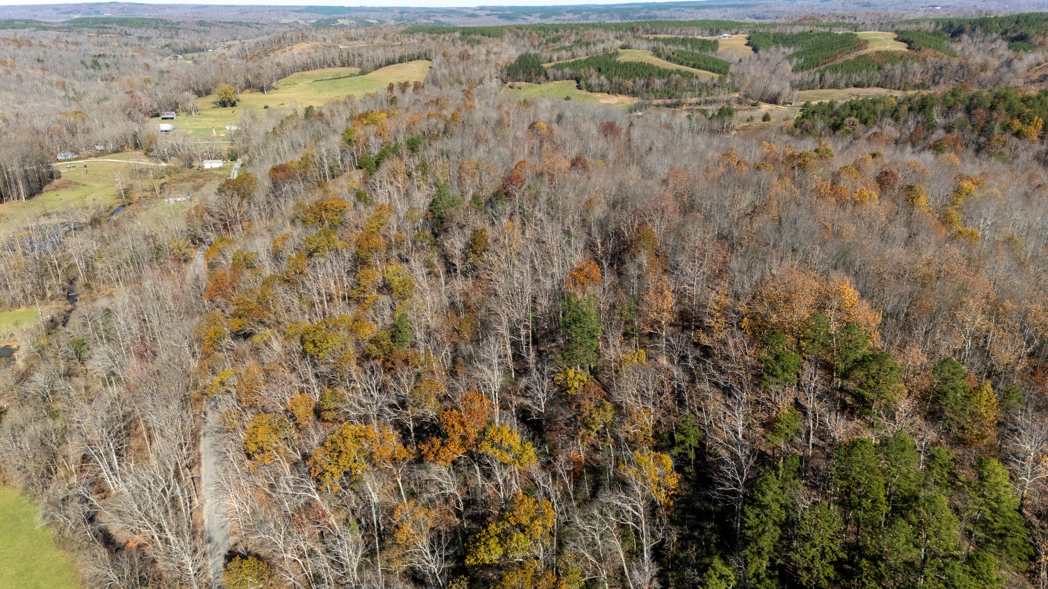0 Moccasian Creek Rd Property Photo 10