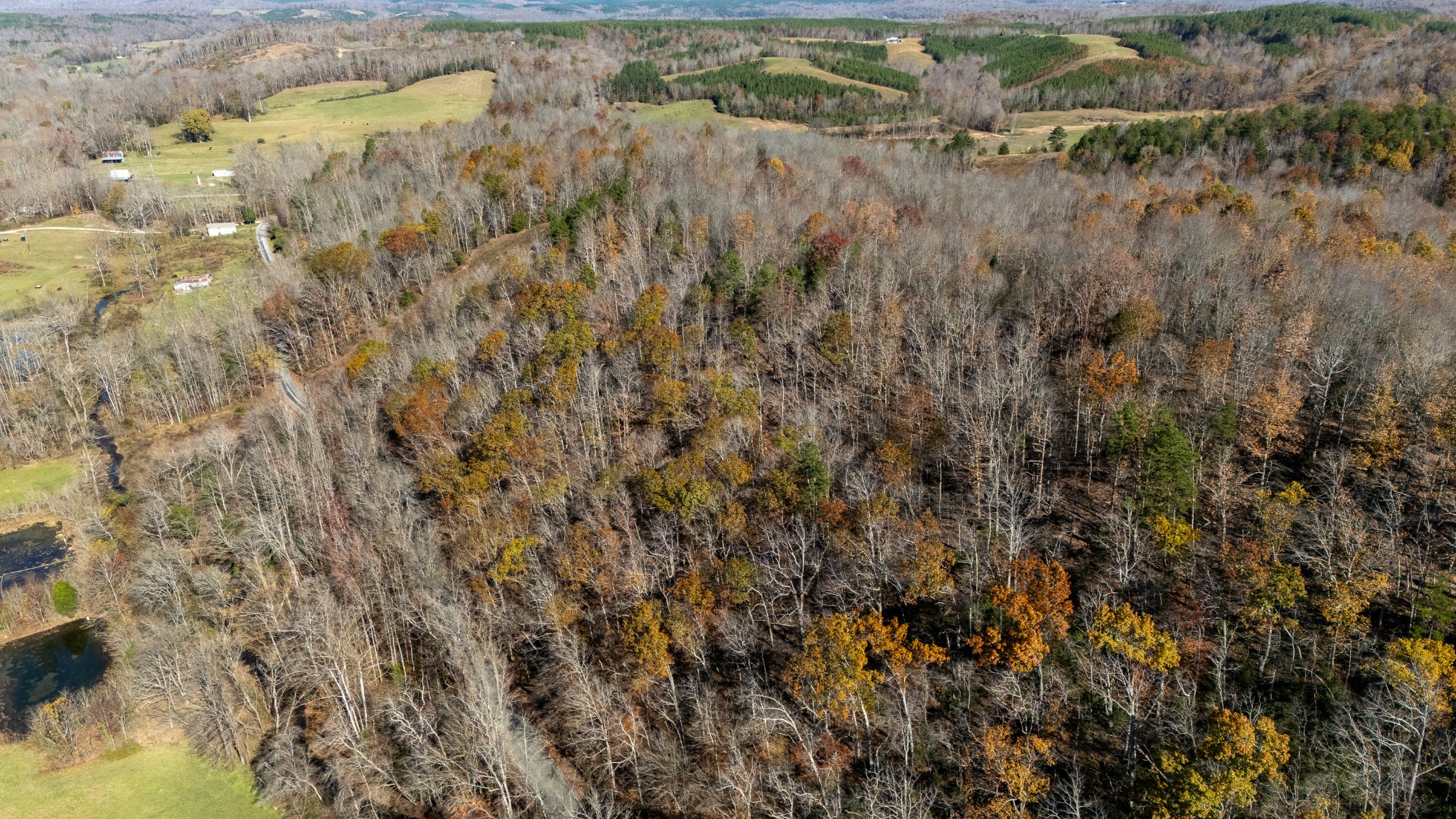0 Moccasian Creek Rd Property Photo 11