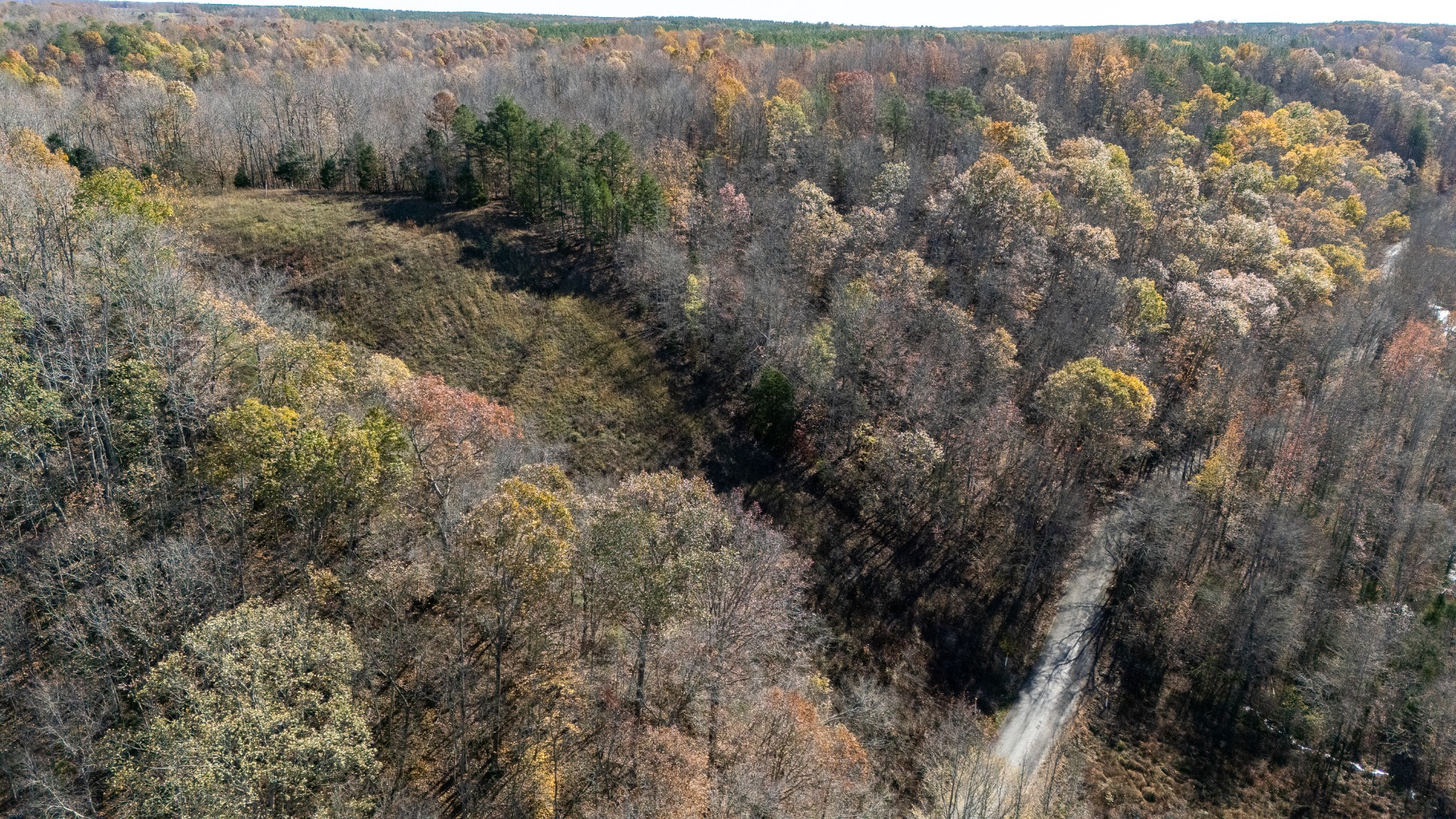 0 Moccasian Creek Rd Property Photo 12