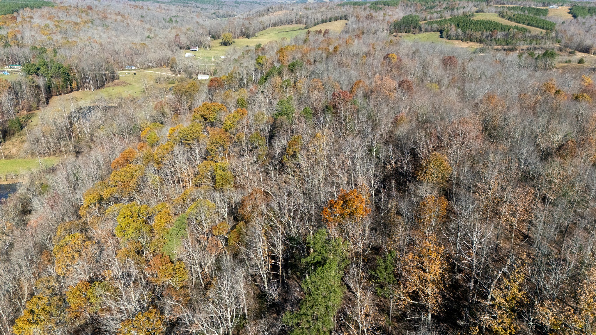 0 Moccasian Creek Rd Property Photo 16