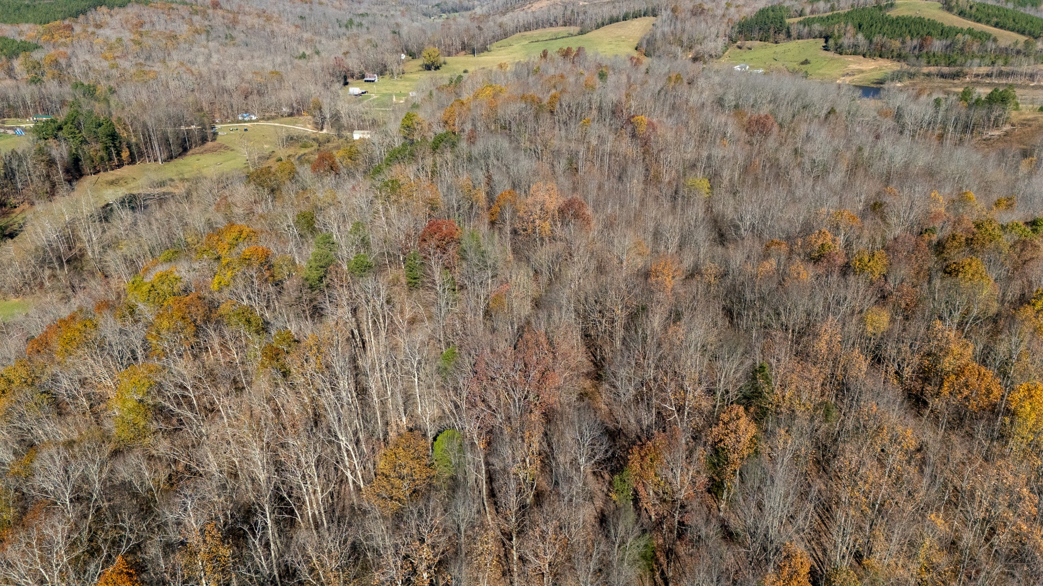 0 Moccasian Creek Rd Property Photo 17