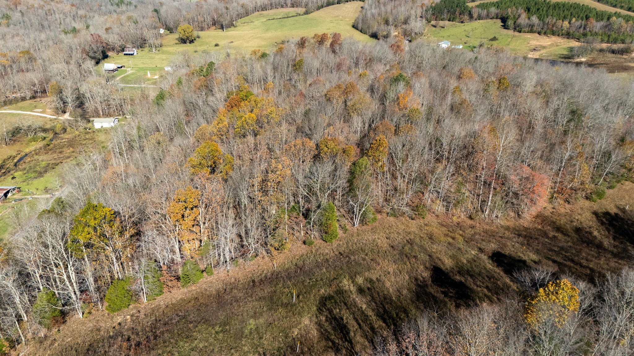 0 Moccasian Creek Rd Property Photo 20