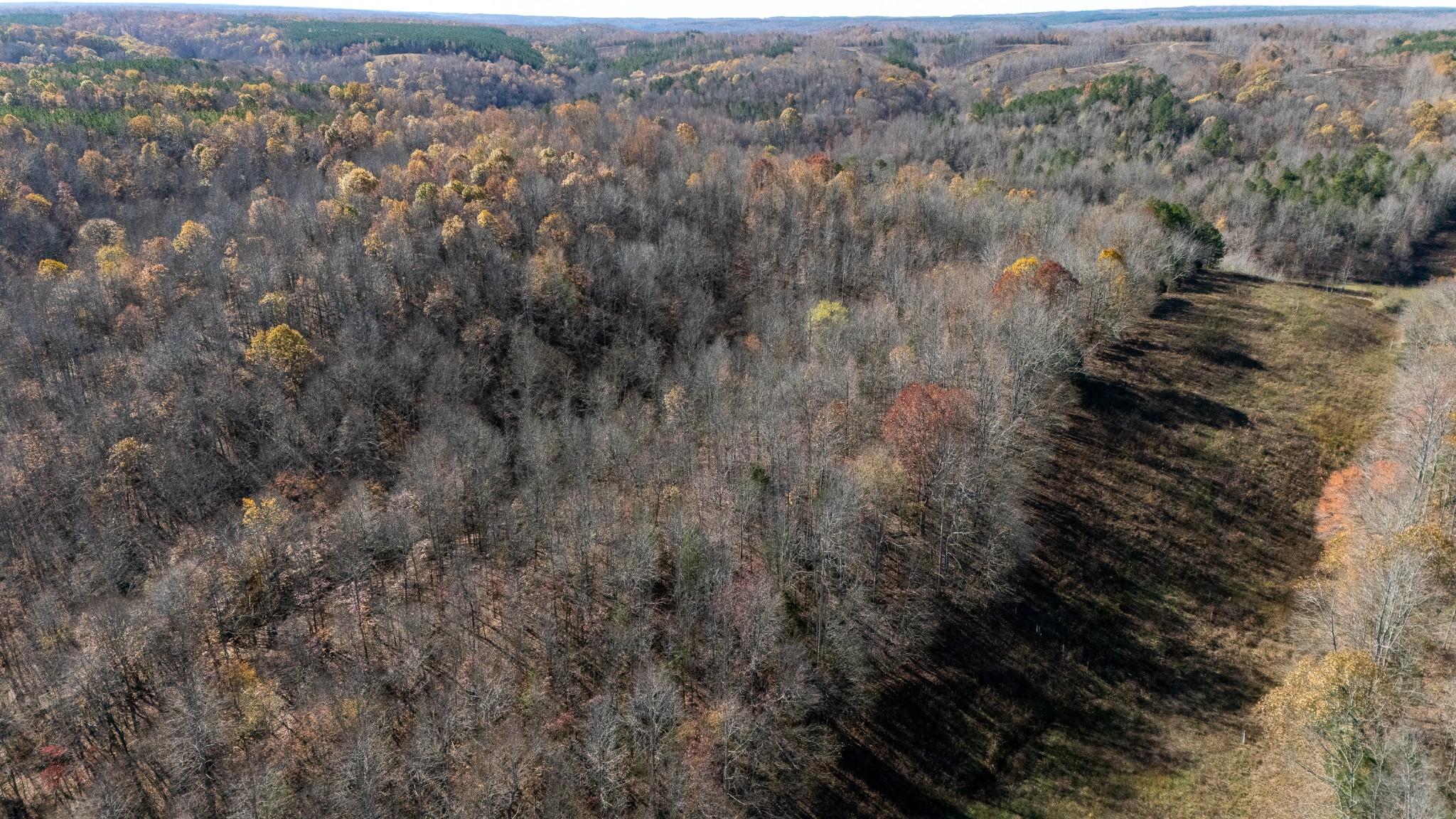 0 Moccasian Creek Rd Property Photo 22