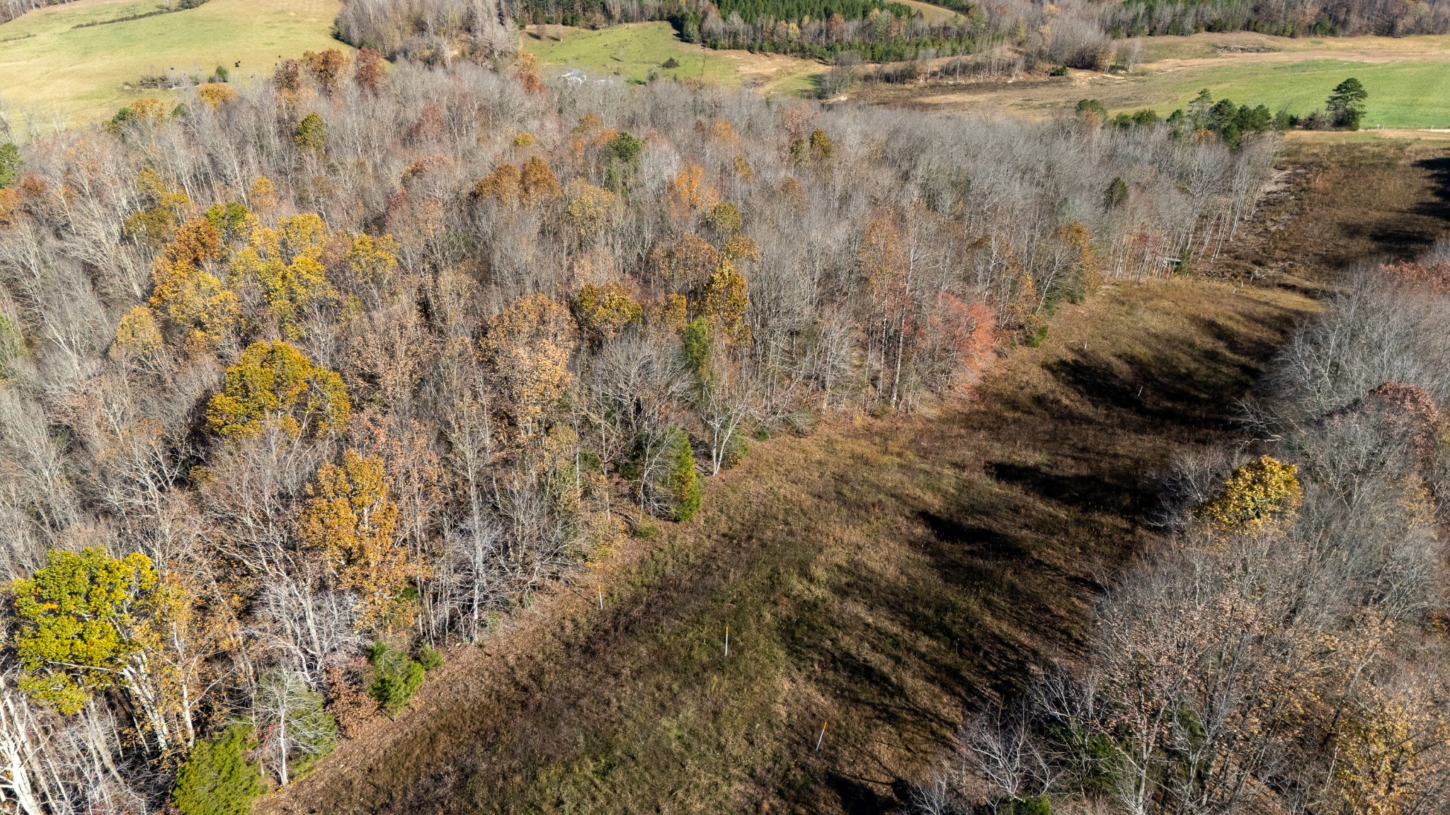0 Moccasian Creek Rd Property Photo 26