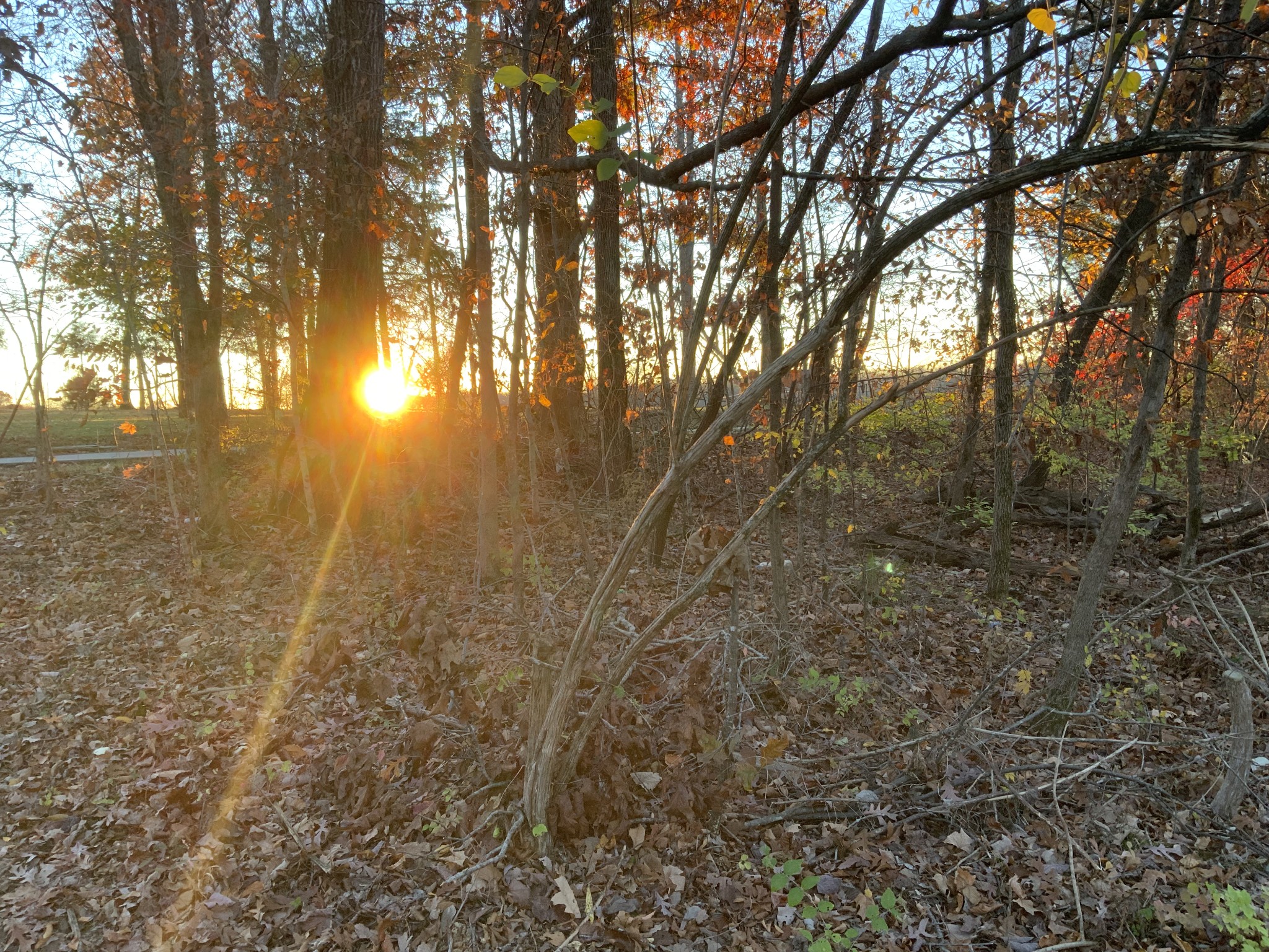 0 Mobleys Cut Road Property Photo 1