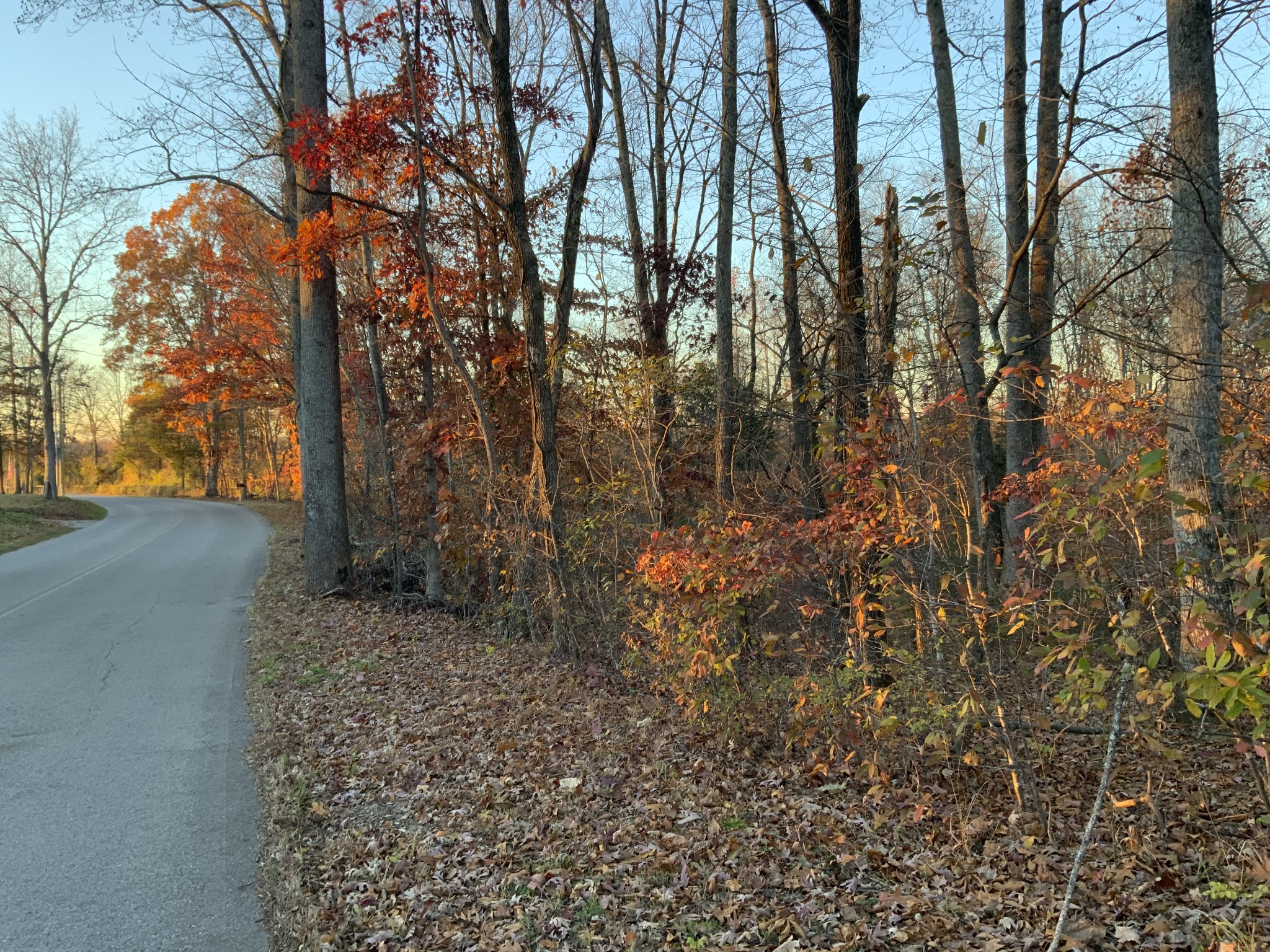 0 Mobleys Cut Road Property Photo 8