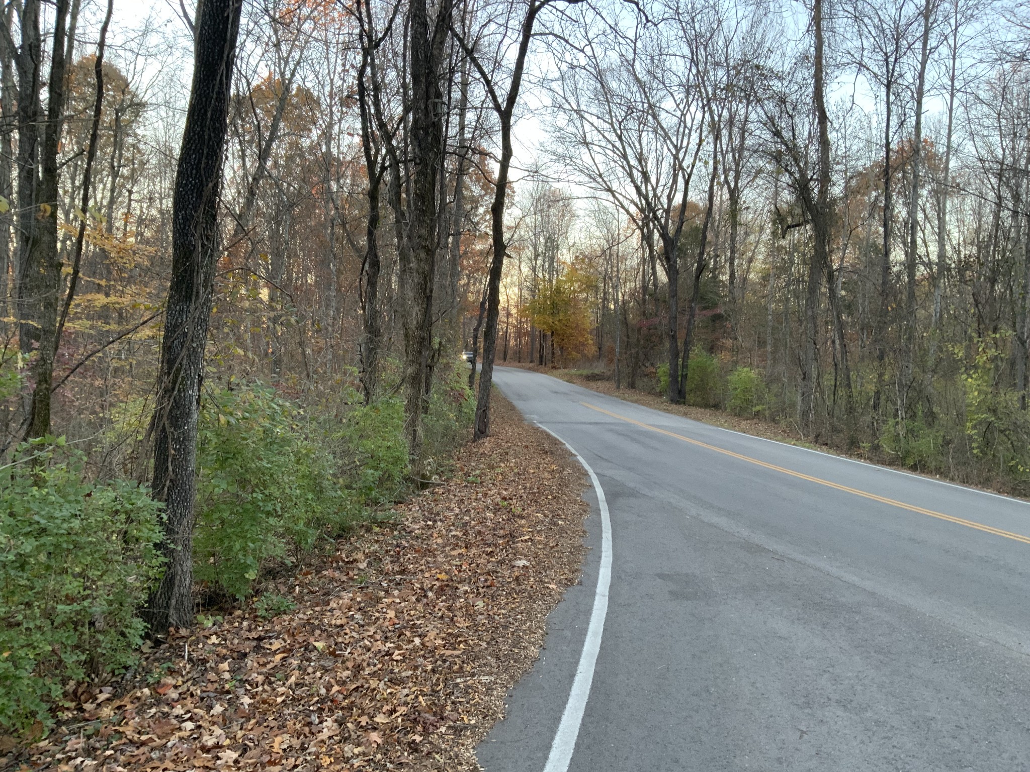 0 Mobleys Cut Road Property Photo 9