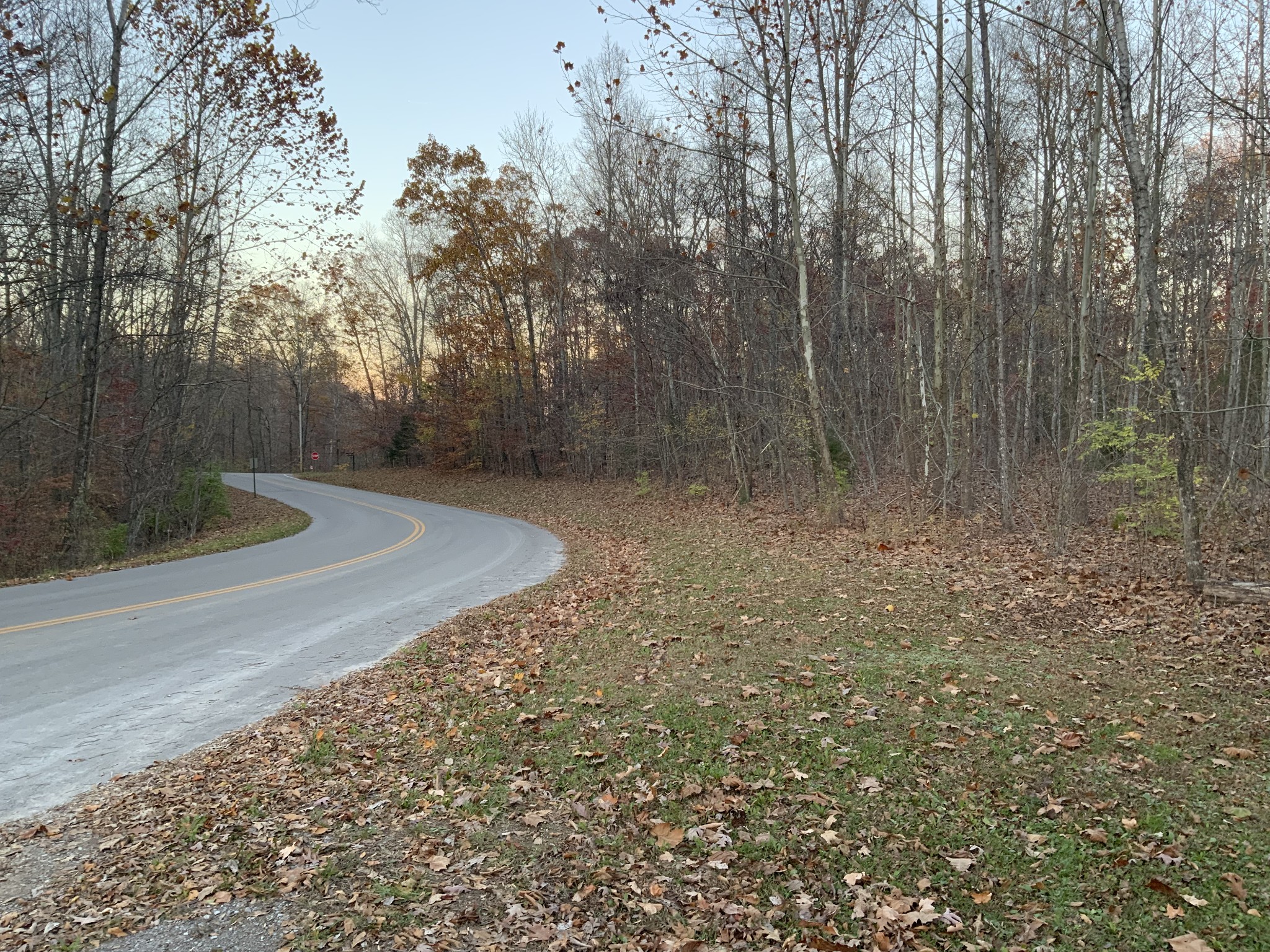 0 Mobleys Cut Road Property Photo 10