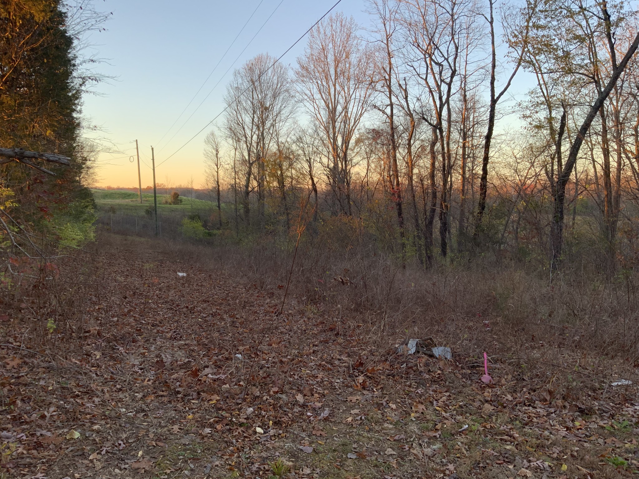 0 Mobleys Cut Road Property Photo 12