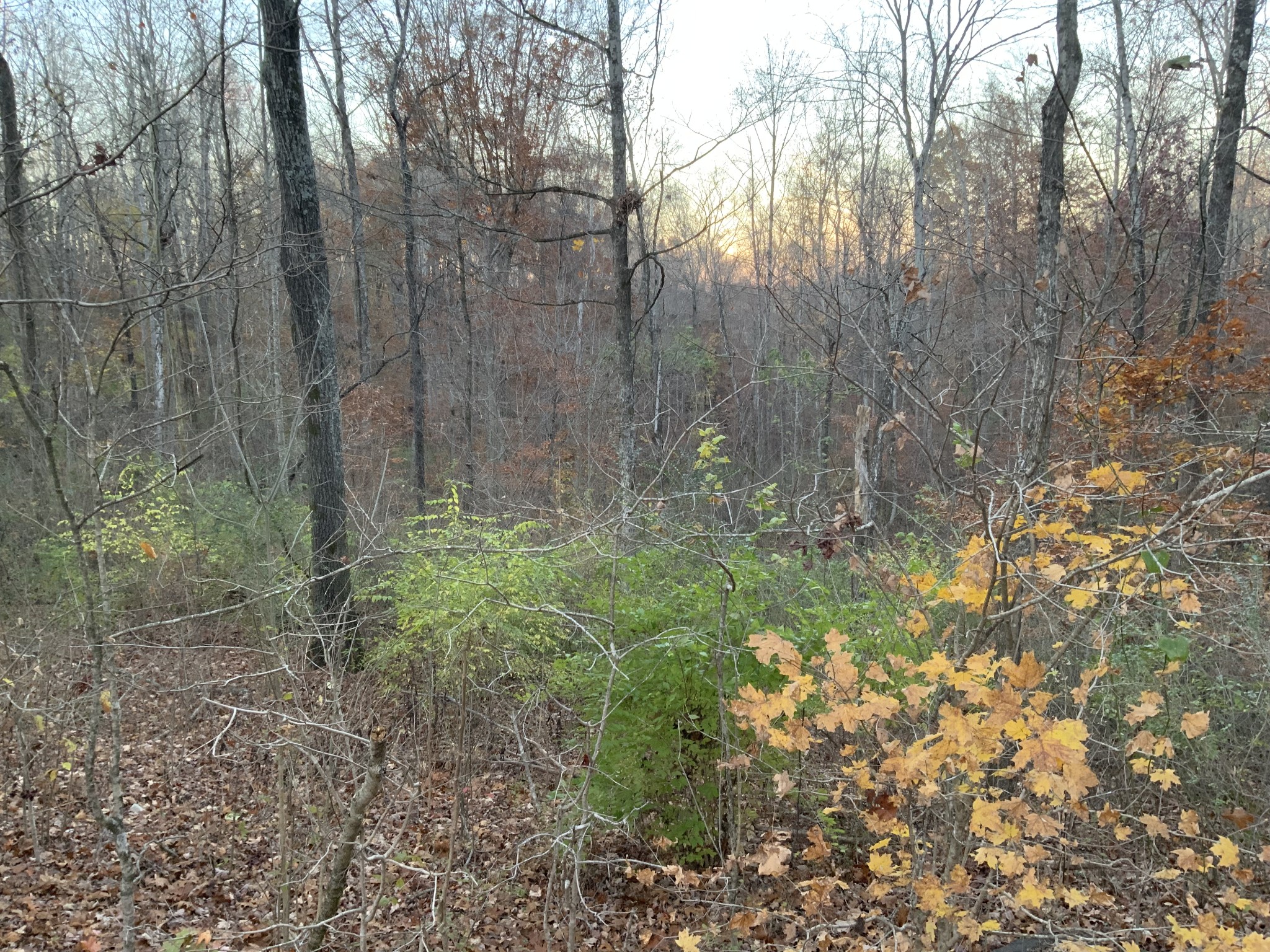 0 Mobleys Cut Road Property Photo 13