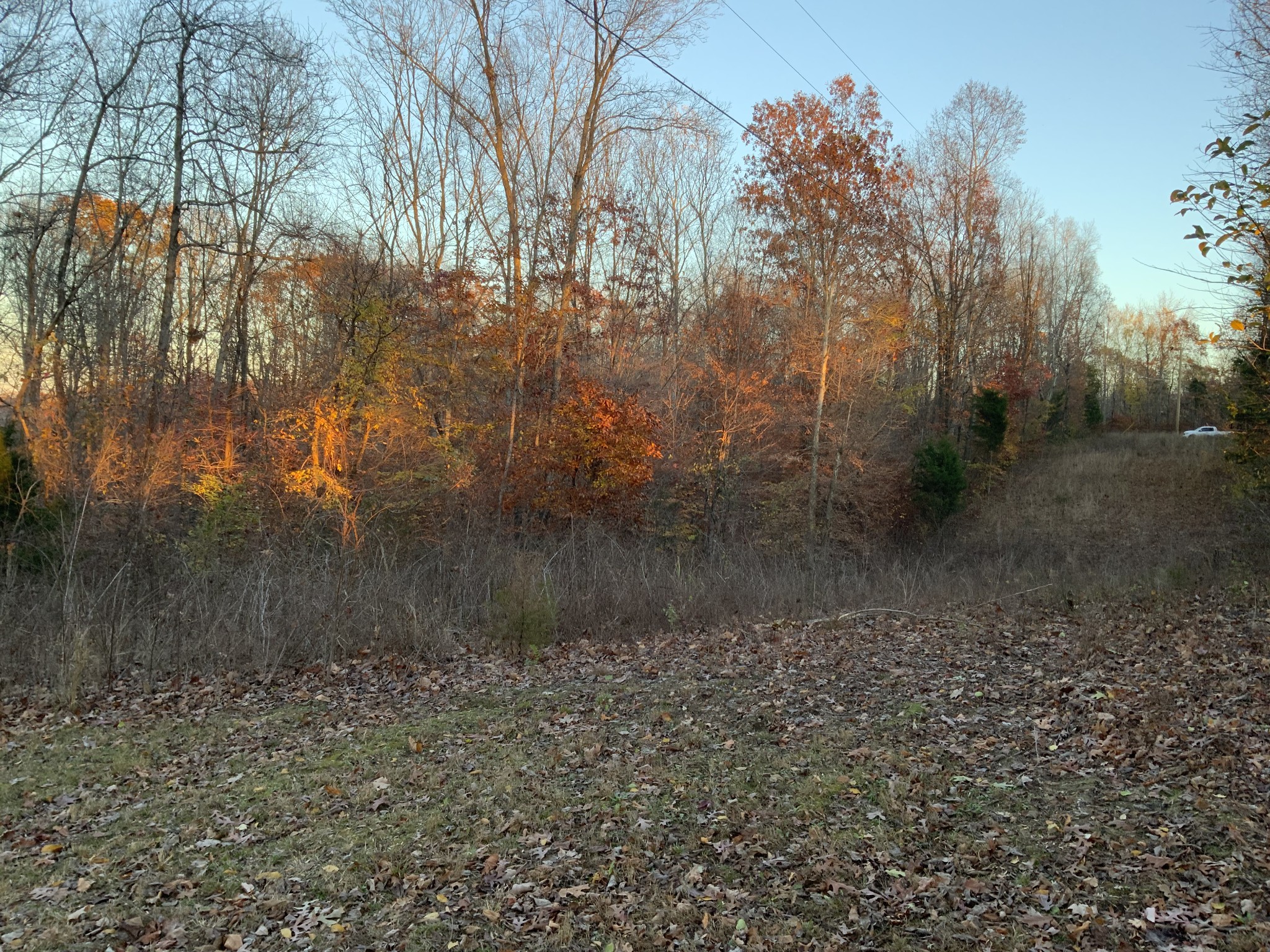 0 Mobleys Cut Road Property Photo 14