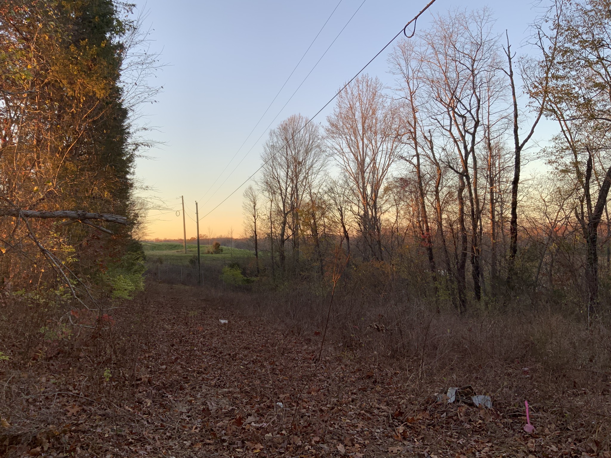 0 Mobleys Cut Road Property Photo 19