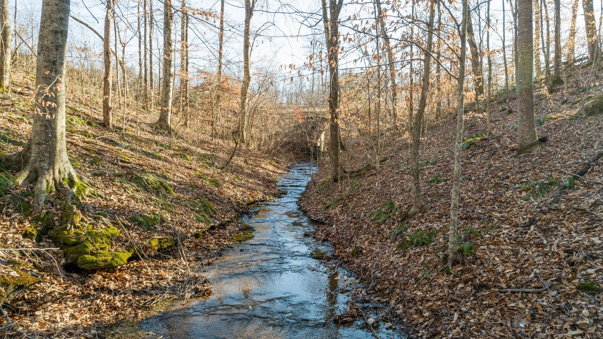 3 Mobleys Cut Road Property Photo 1