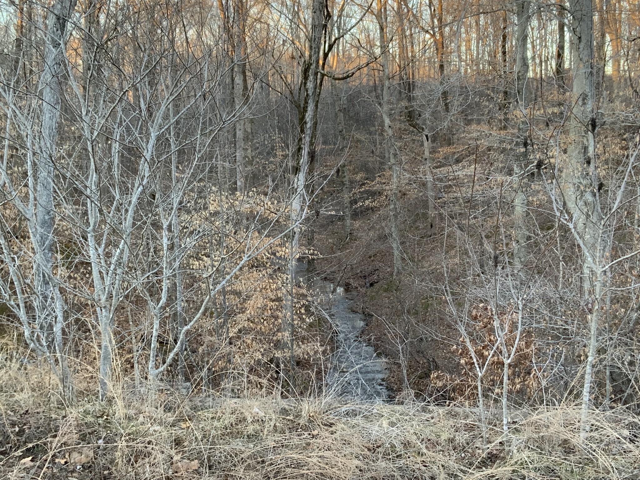3 Mobleys Cut Road Property Photo 2