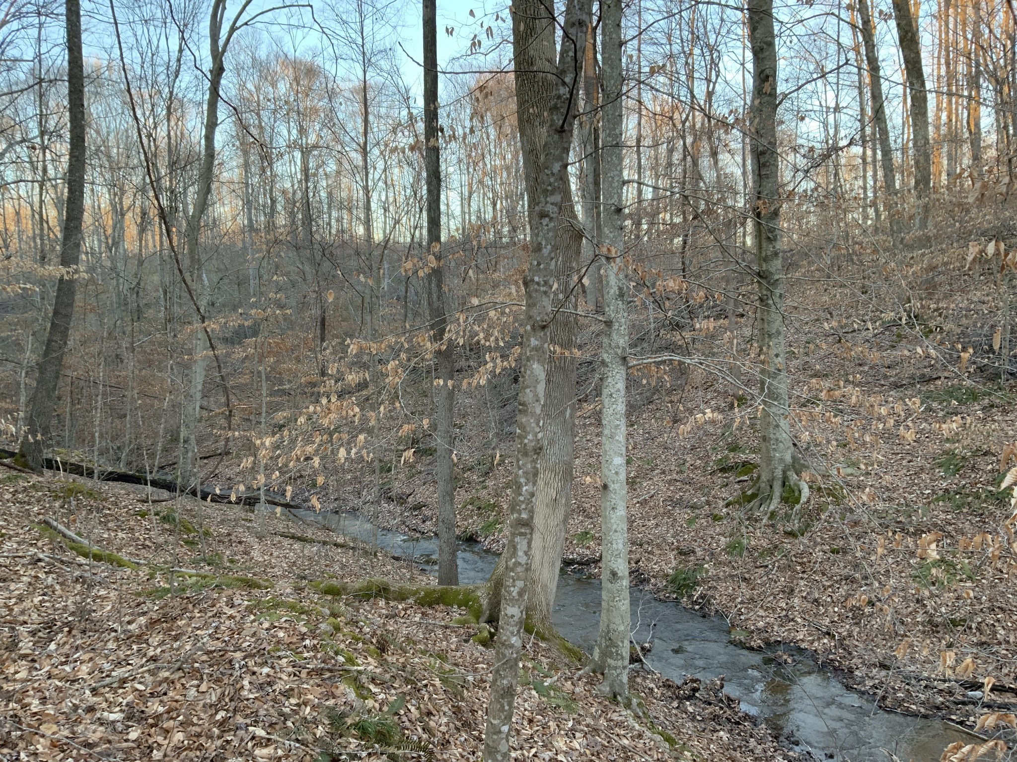 3 Mobleys Cut Road Property Photo 5