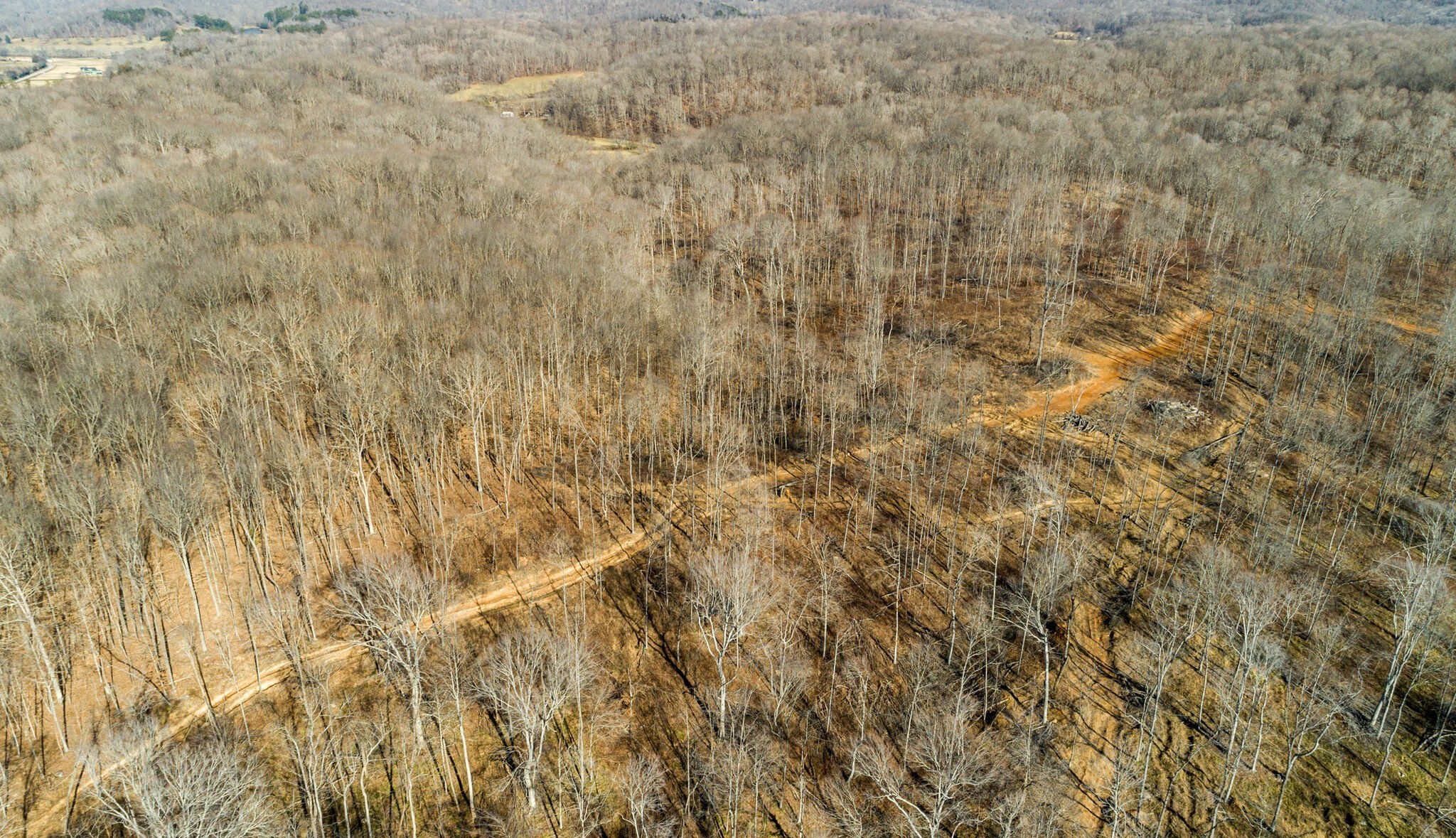 3 Mobleys Cut Road Property Photo 6