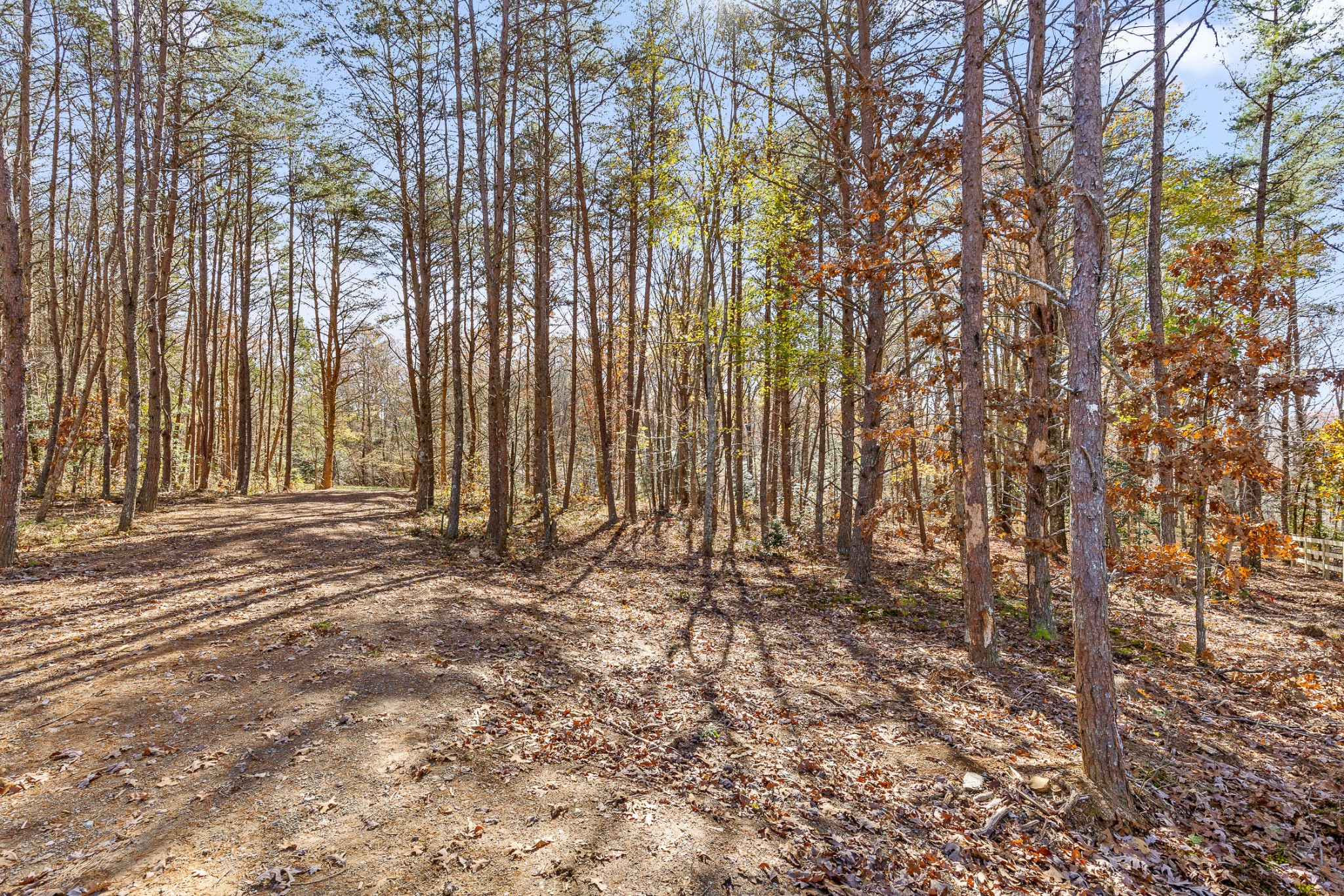 1805 Vandergriff Road Property Photo 2
