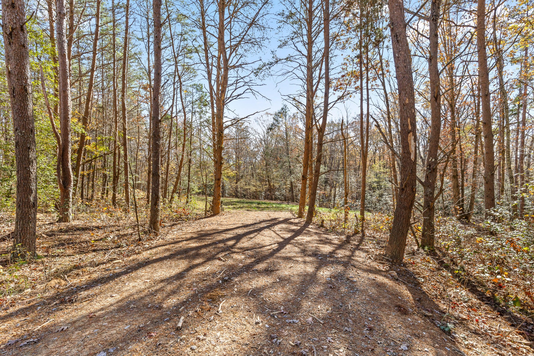 1805 Vandergriff Road Property Photo 3