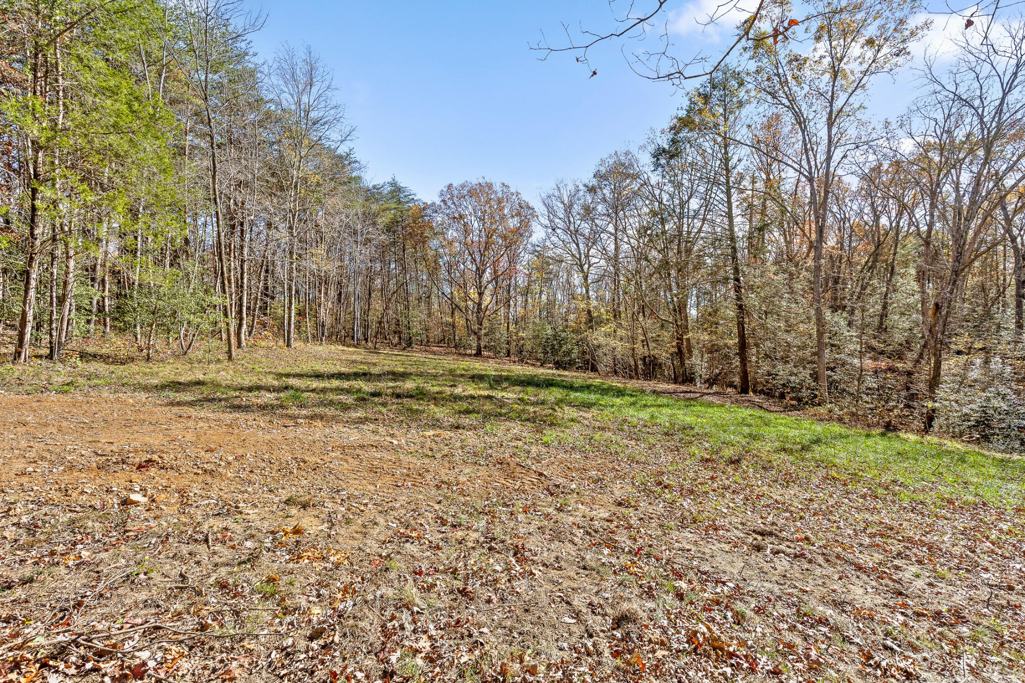 1805 Vandergriff Road Property Photo 5