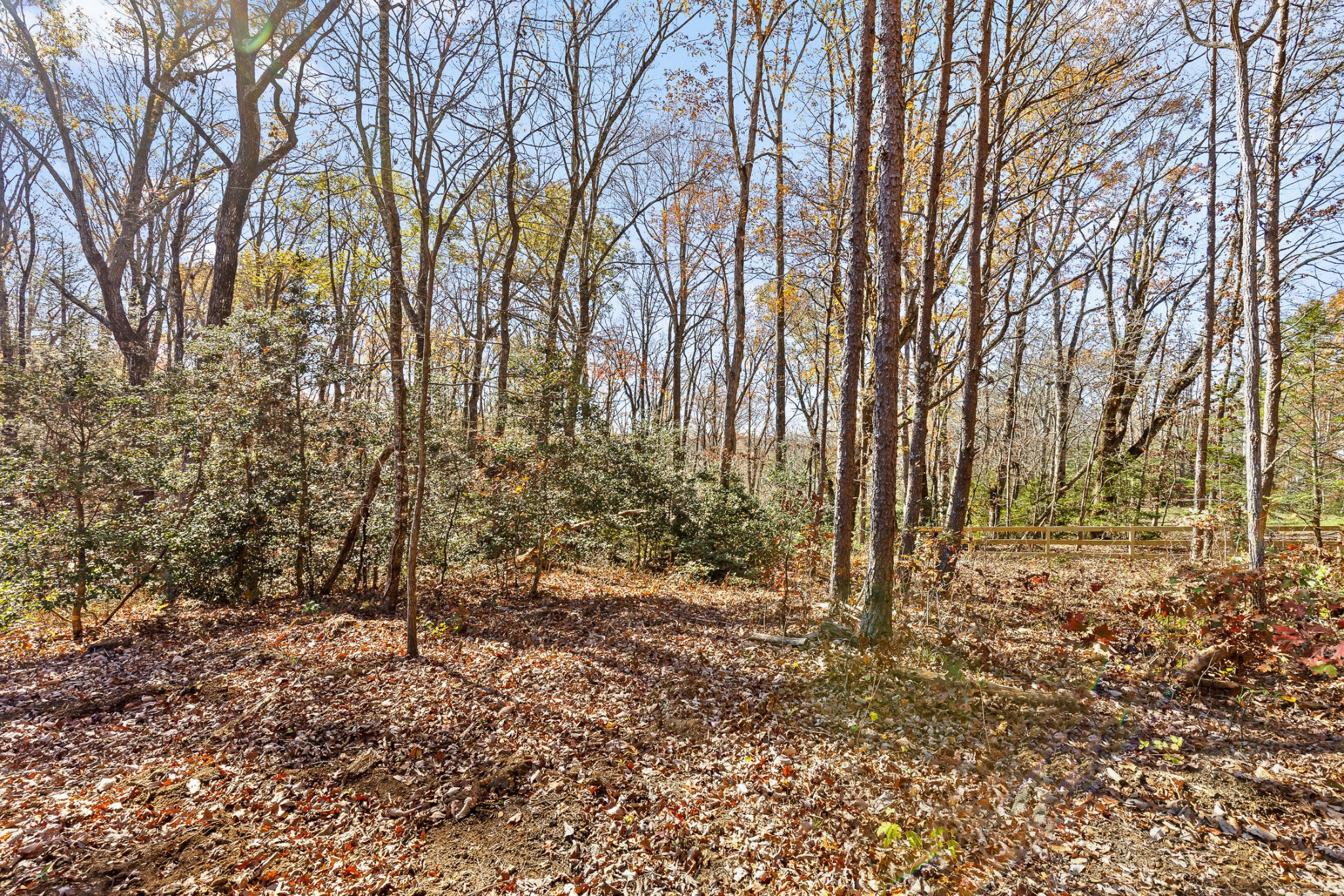 1805 Vandergriff Road Property Photo 6