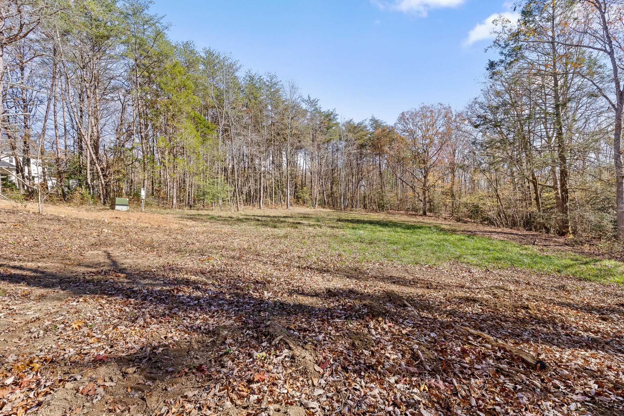 1805 Vandergriff Road Property Photo 7