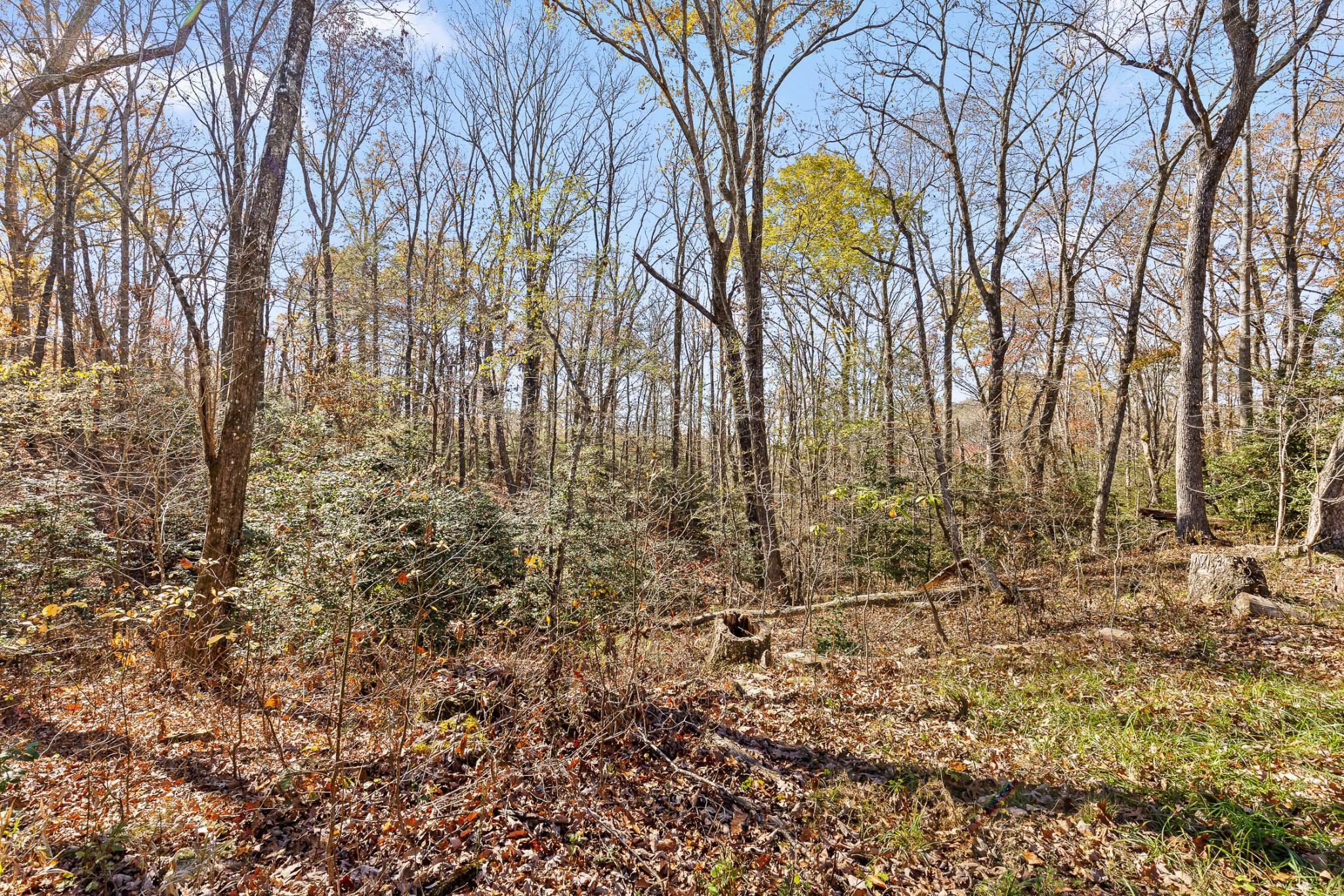 1805 Vandergriff Road Property Photo 8