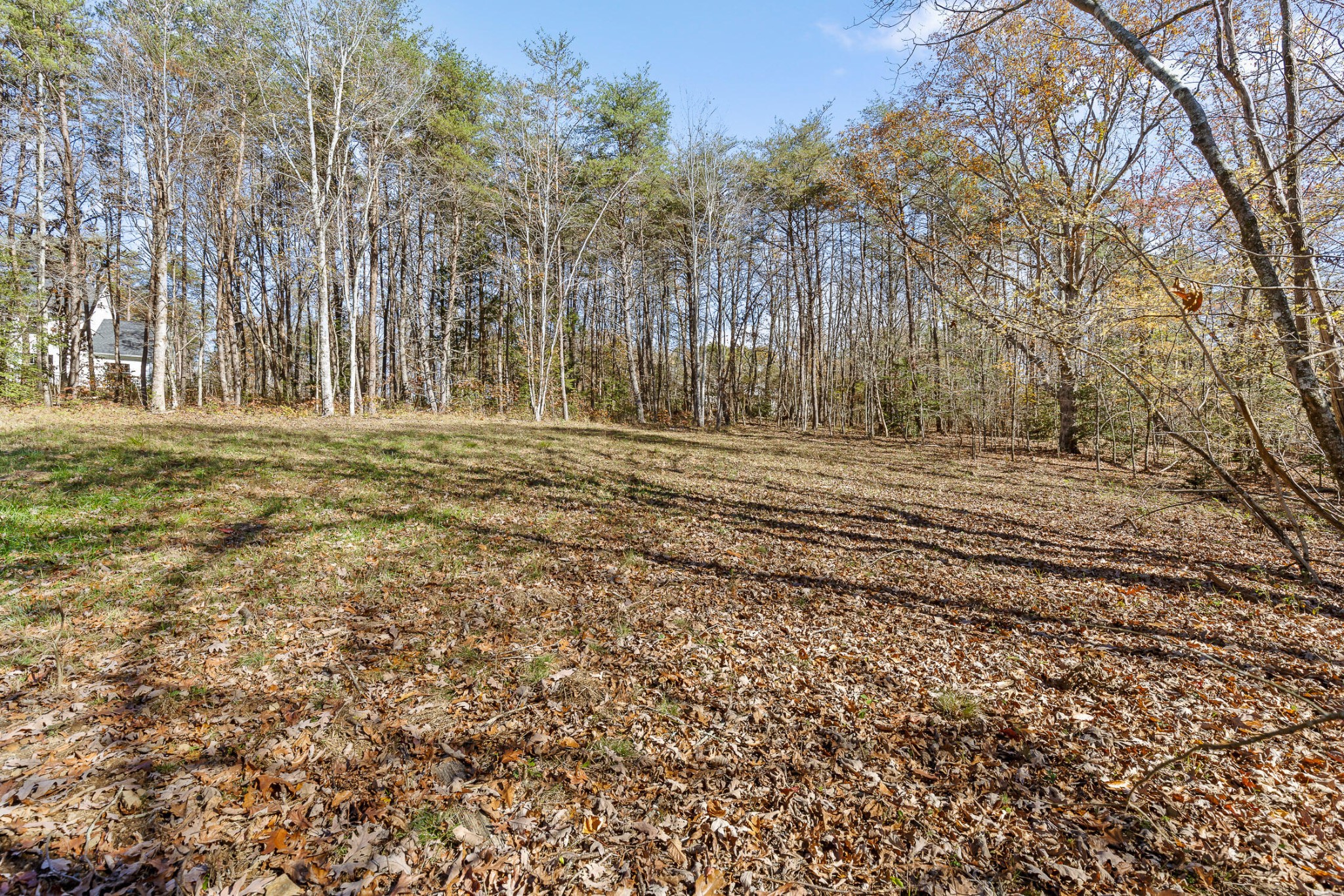 1805 Vandergriff Road Property Photo 9
