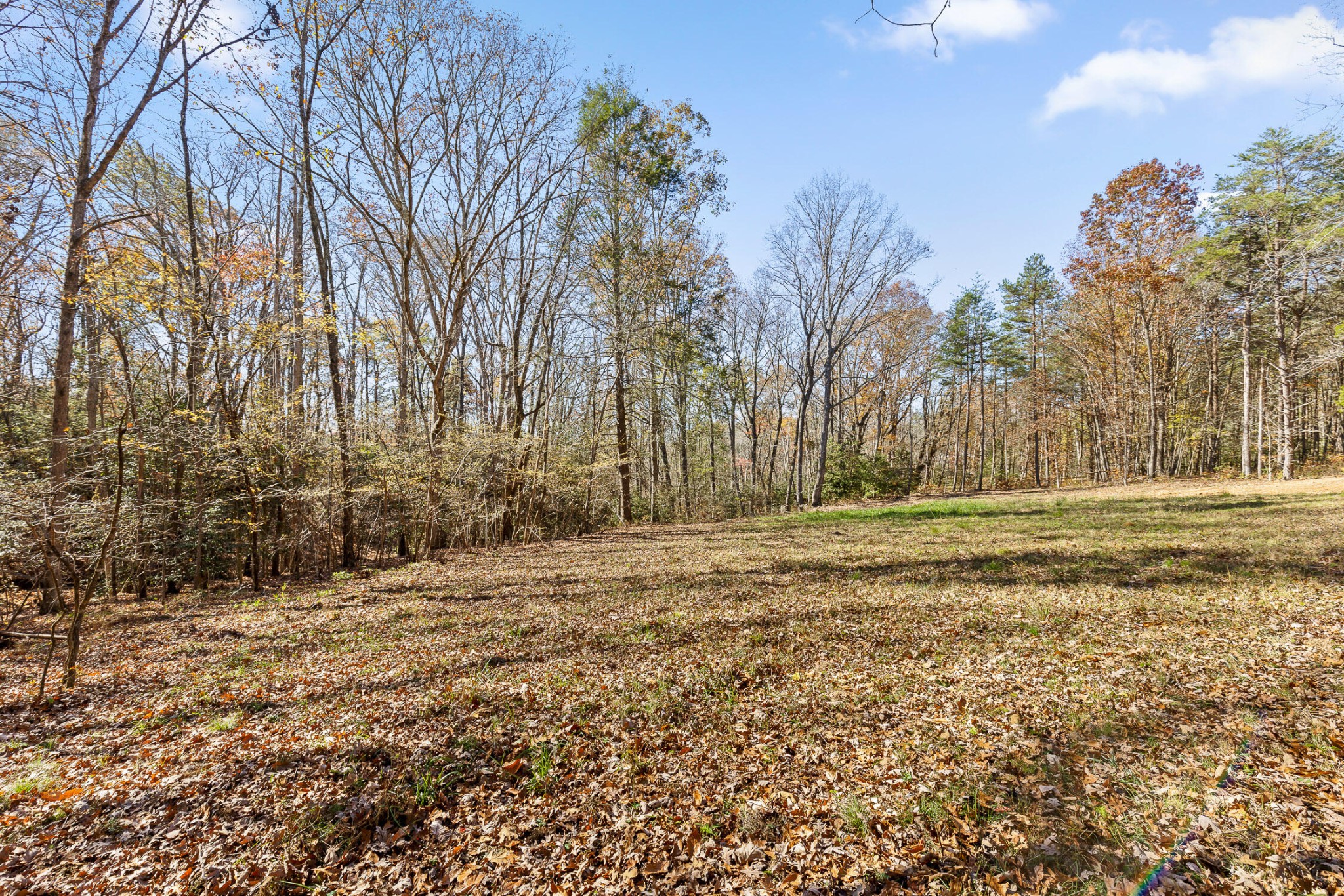 1805 Vandergriff Road Property Photo 11