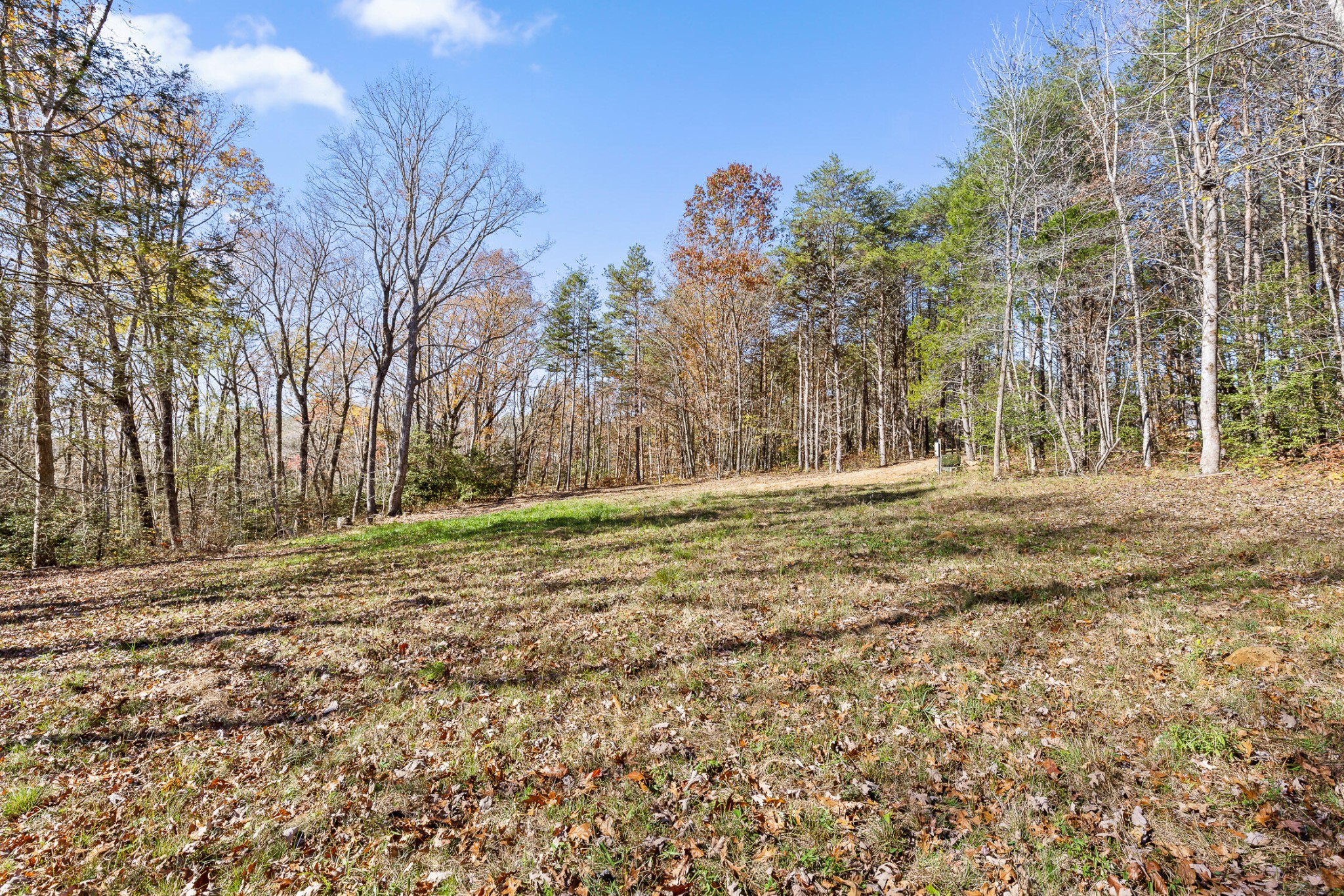 1805 Vandergriff Road Property Photo 12