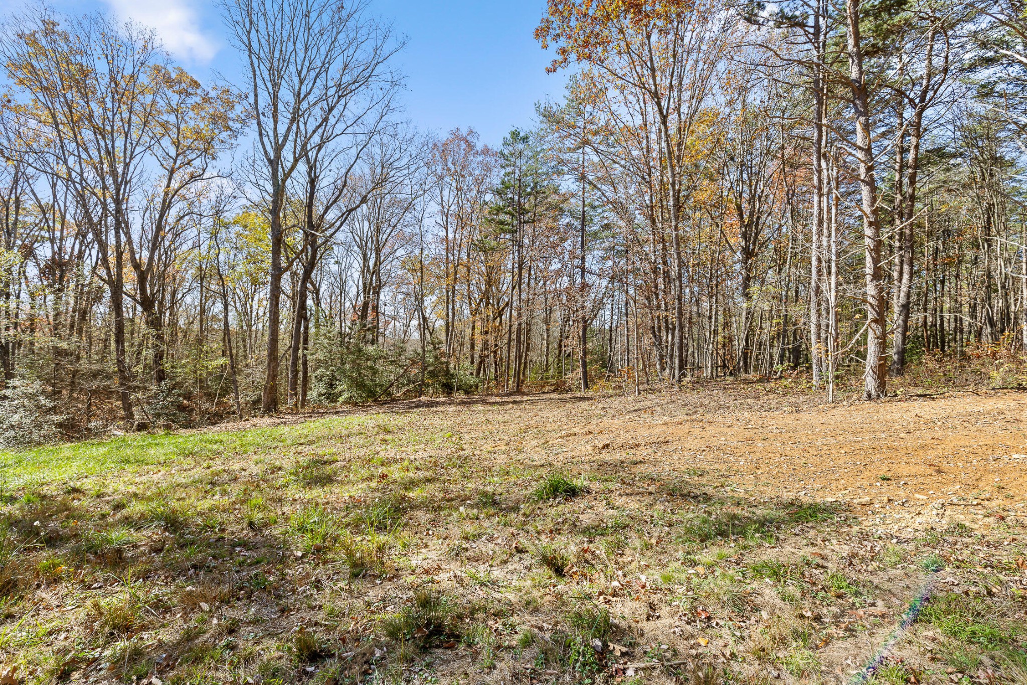1805 Vandergriff Road Property Photo 13