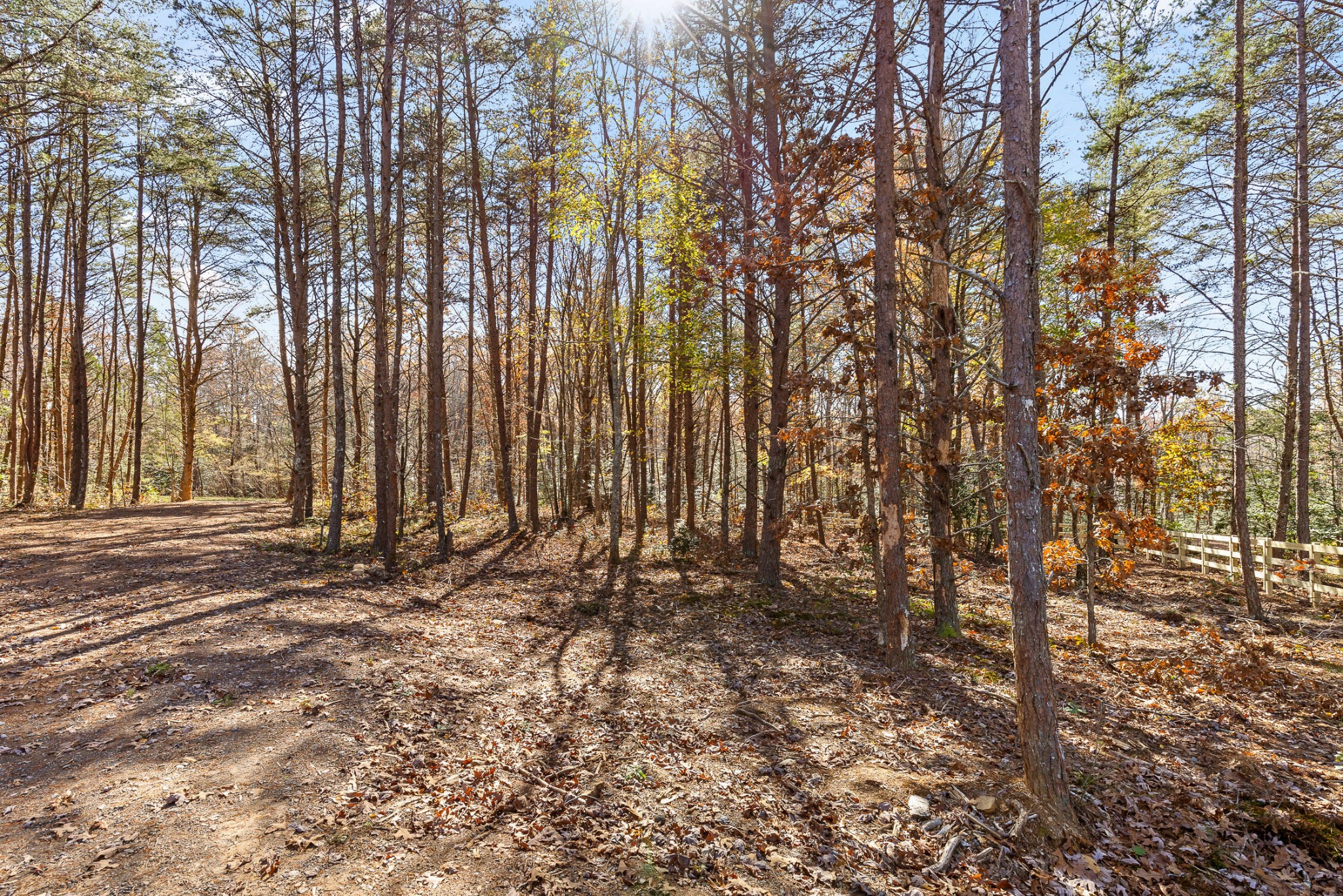 1805 Vandergriff Road Property Photo 14