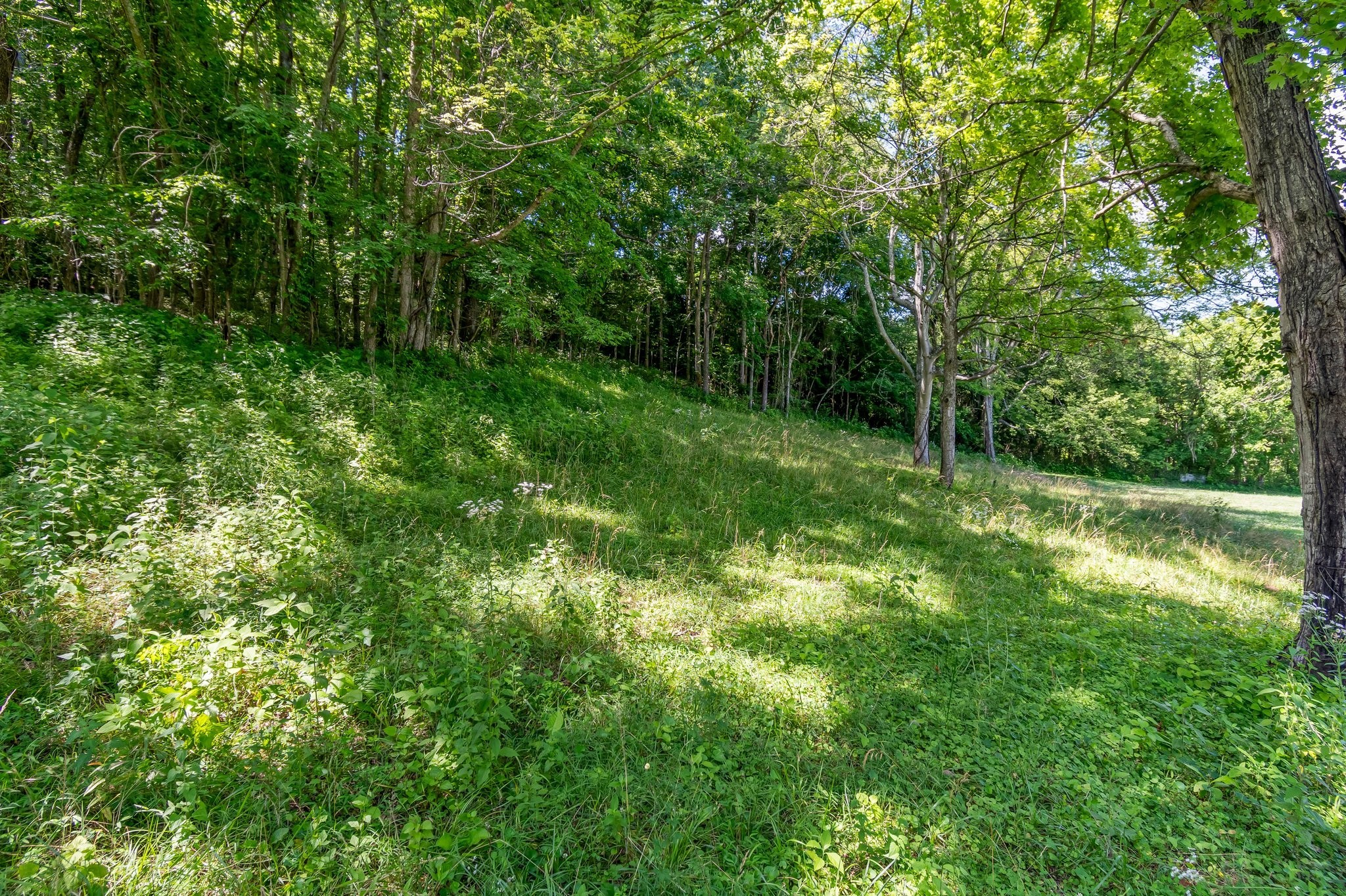 130 Ben Johnson Rd Property Photo 38