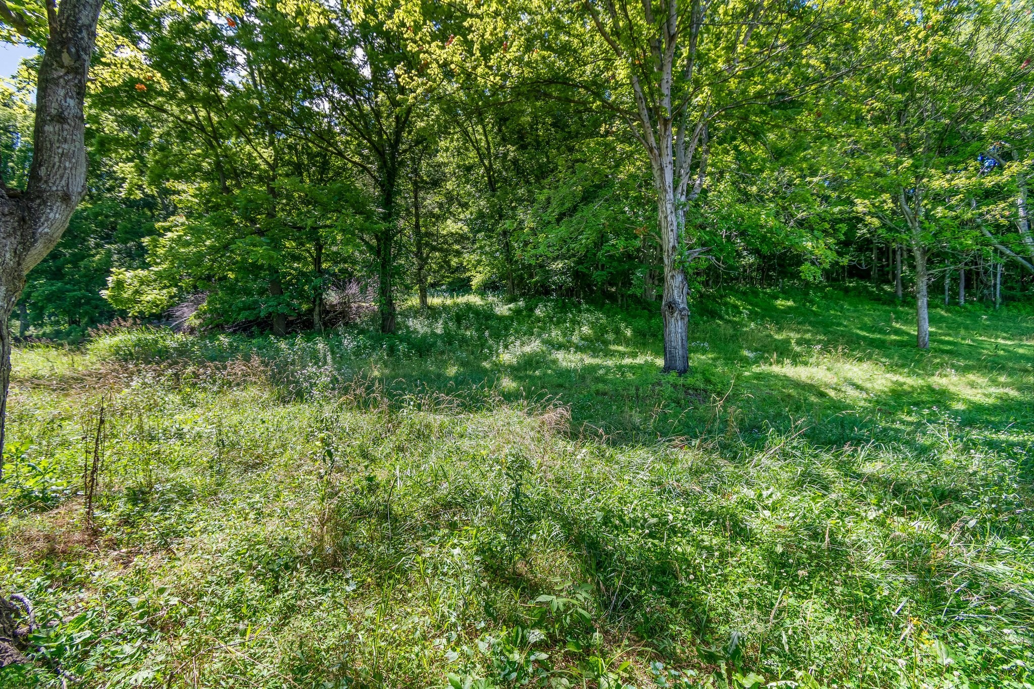 130 Ben Johnson Rd Property Photo 40
