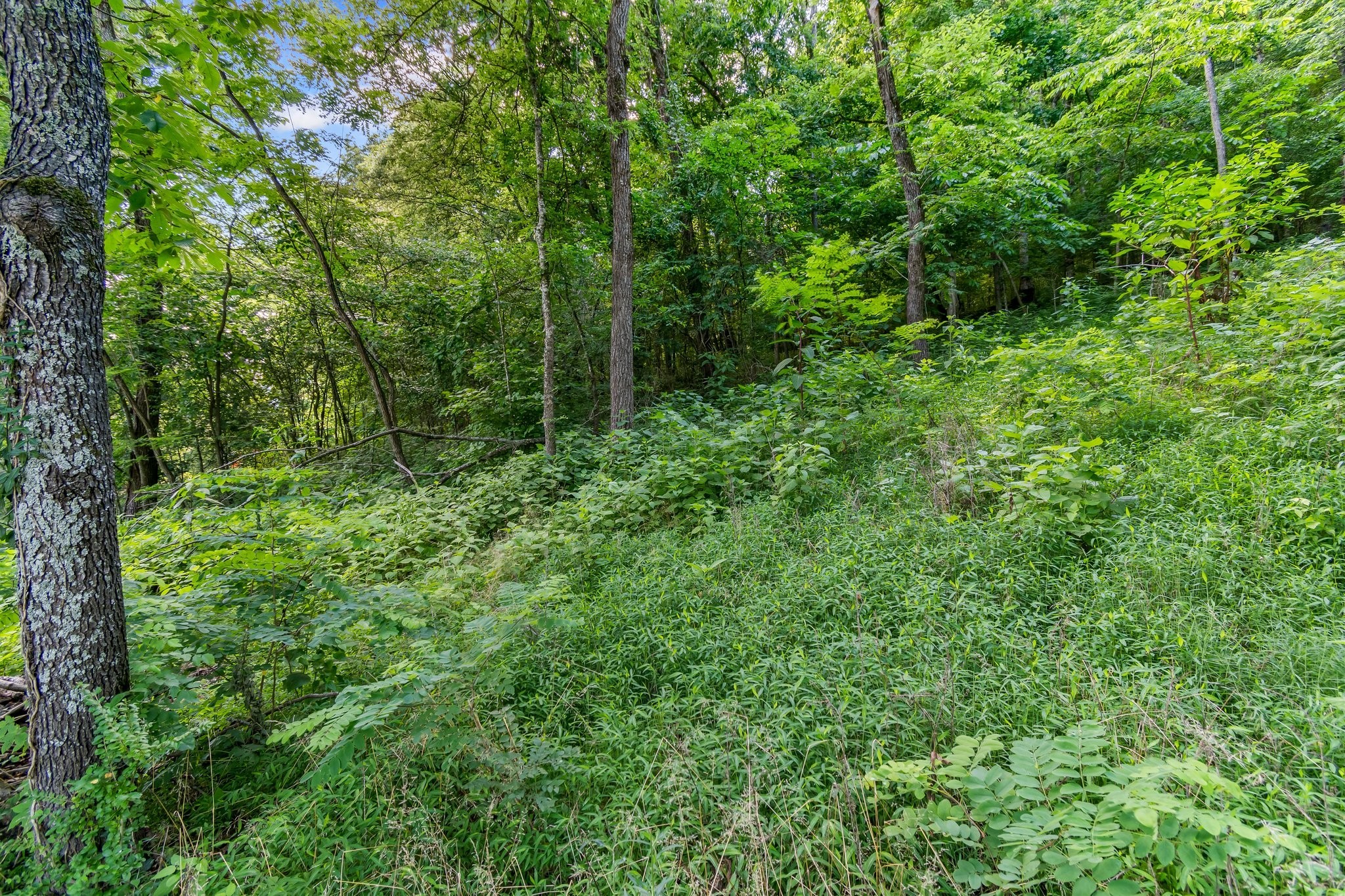 130 Ben Johnson Rd Property Photo 47