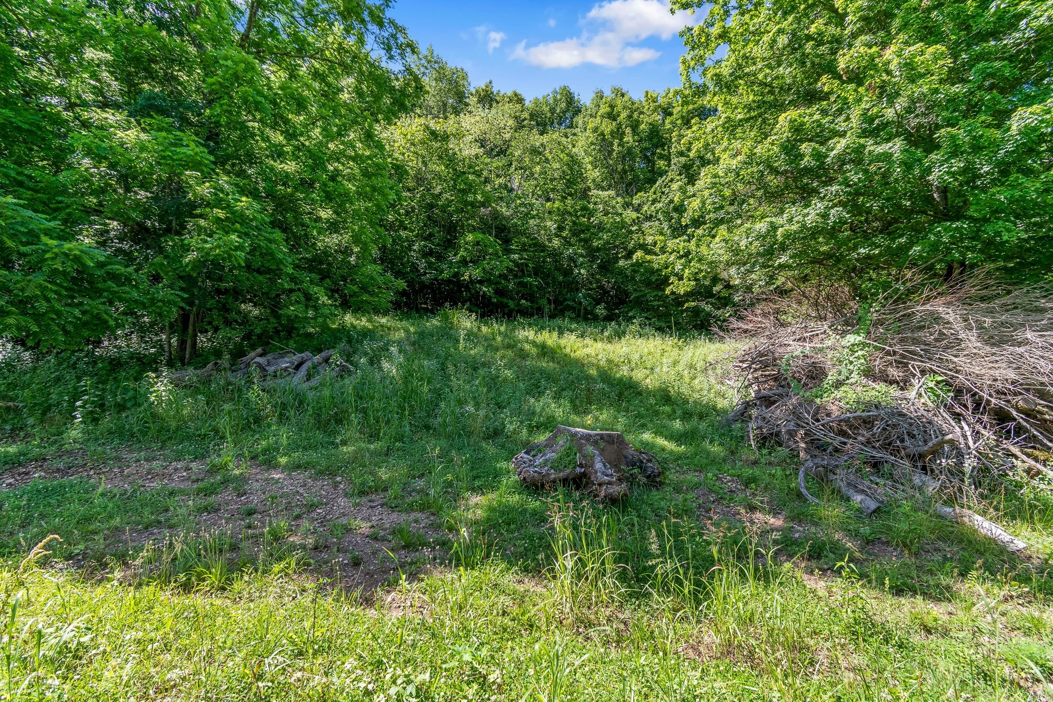130 Ben Johnson Rd Property Photo 48