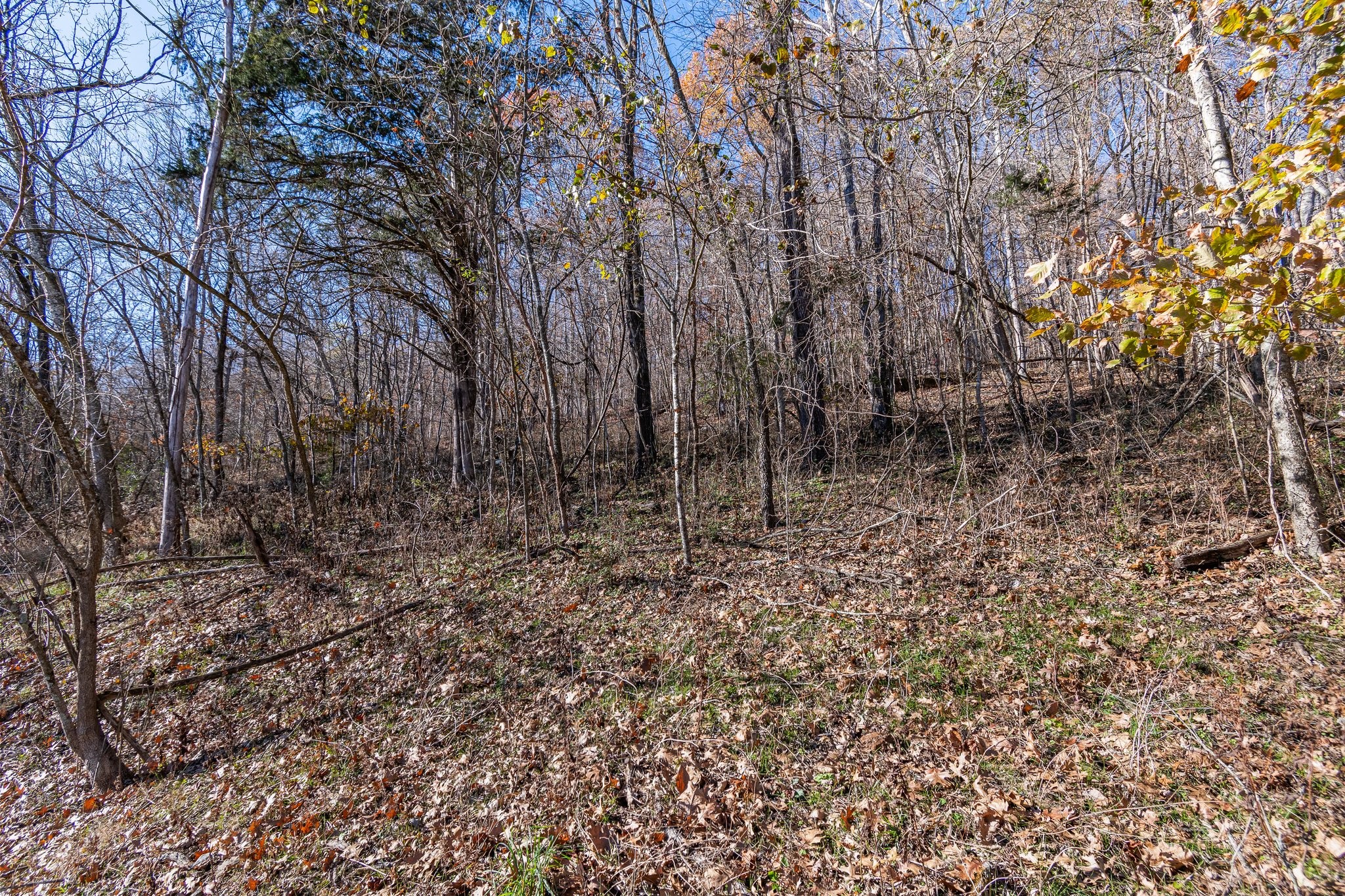 130 Ben Johnson Rd Property Photo 53