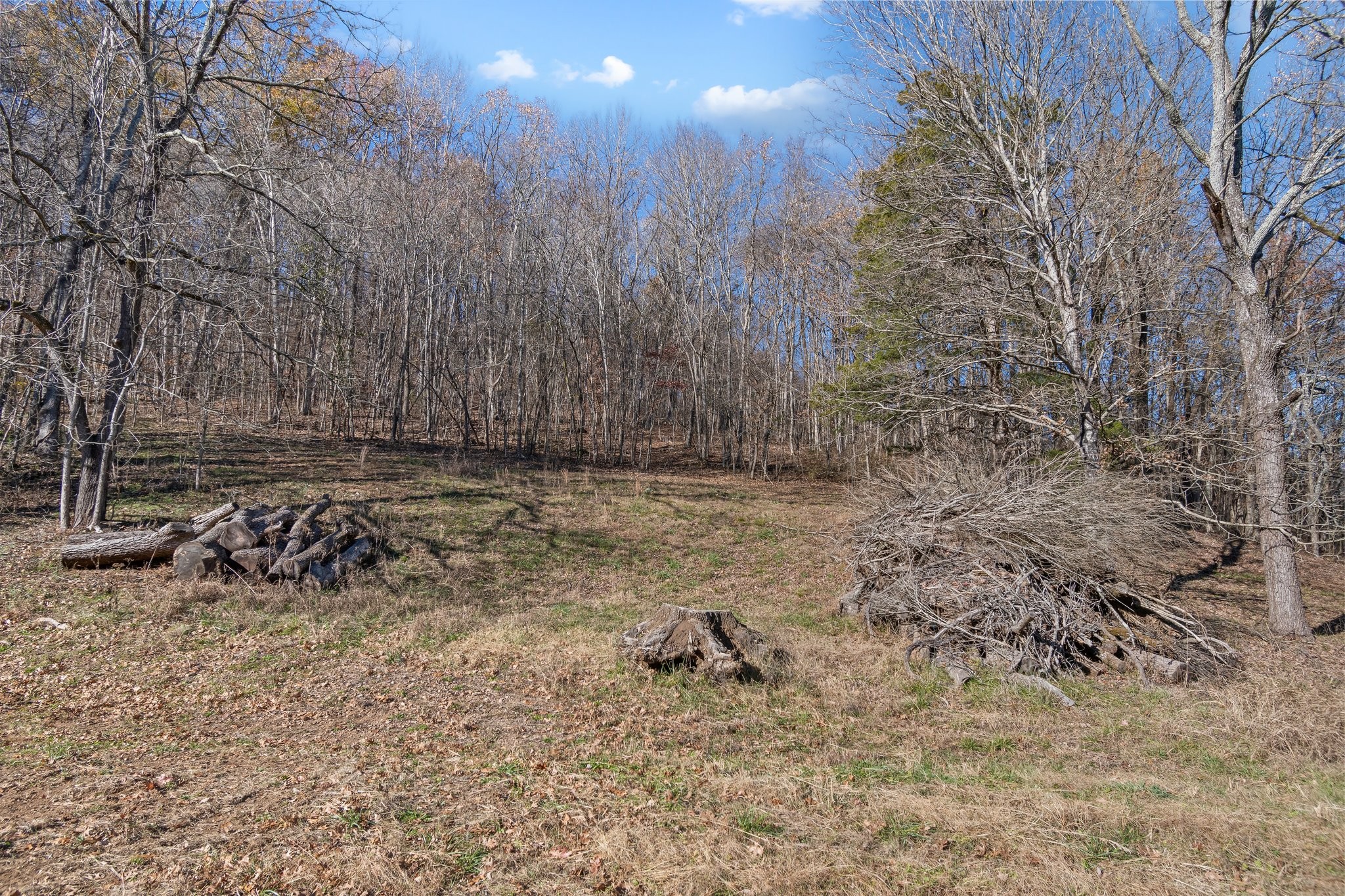 130 Ben Johnson Rd Property Photo 67