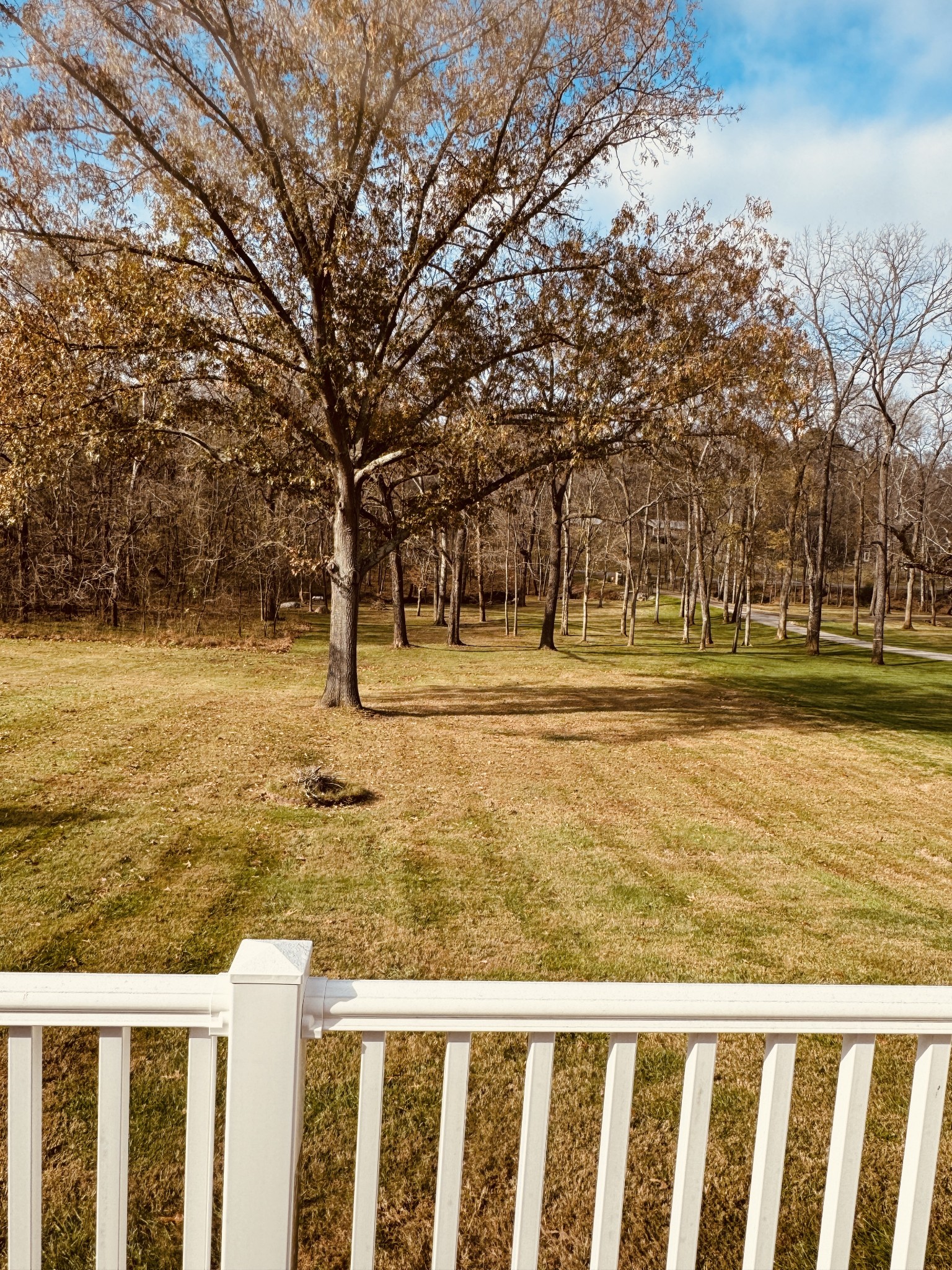 804 River Run Property Photo 38