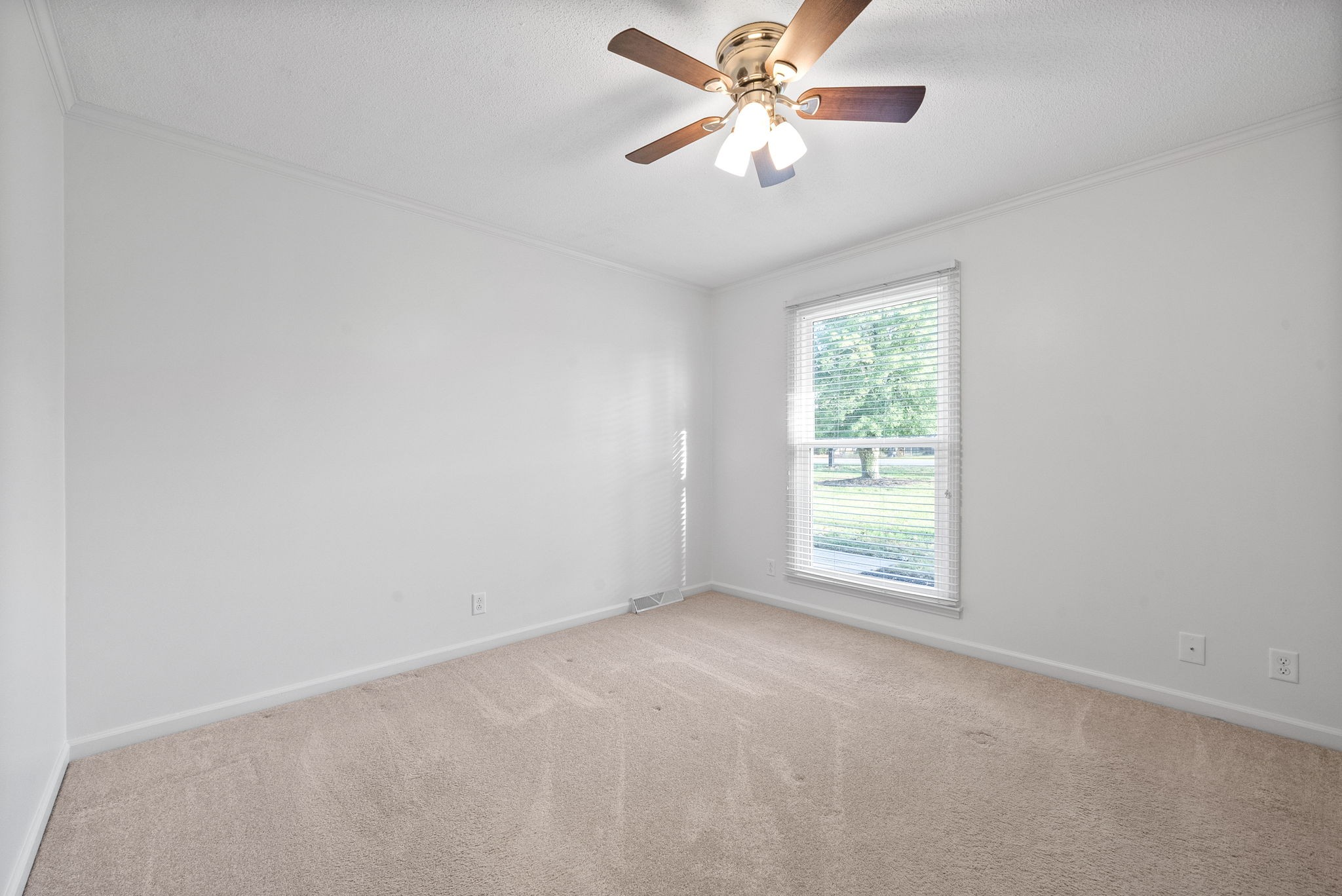 414 Fabian Pl Property Photo 16