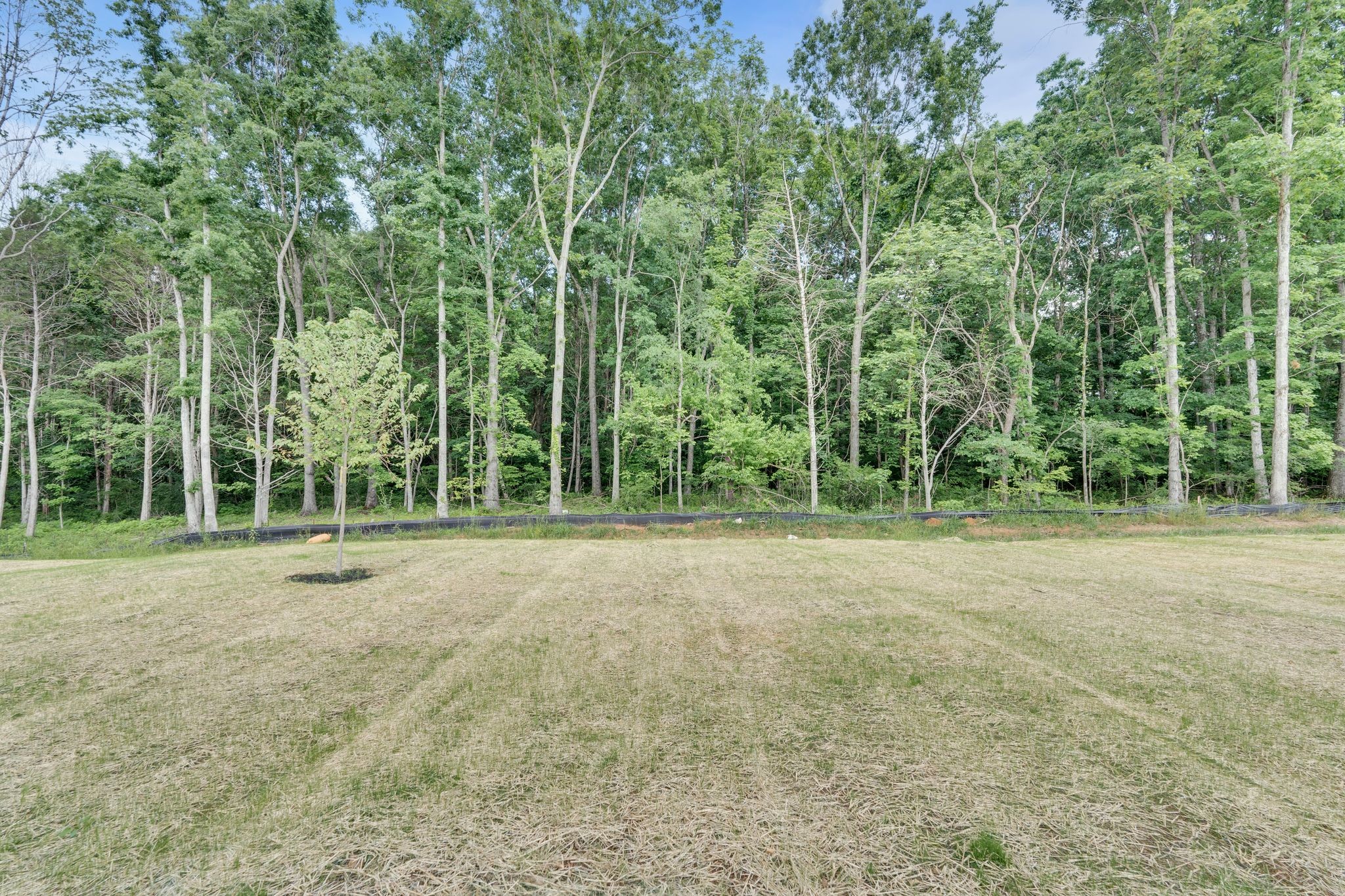 202 Hannah Lee Hill Property Photo 33