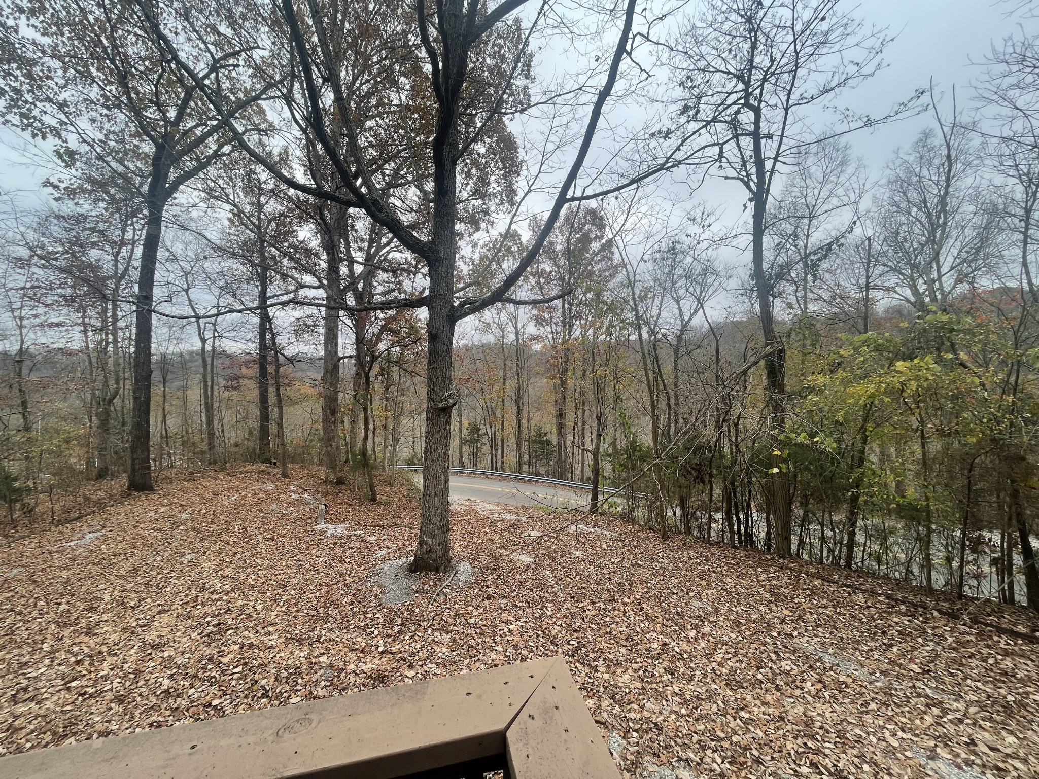 2029 Holly Creek Rd Property Photo 31