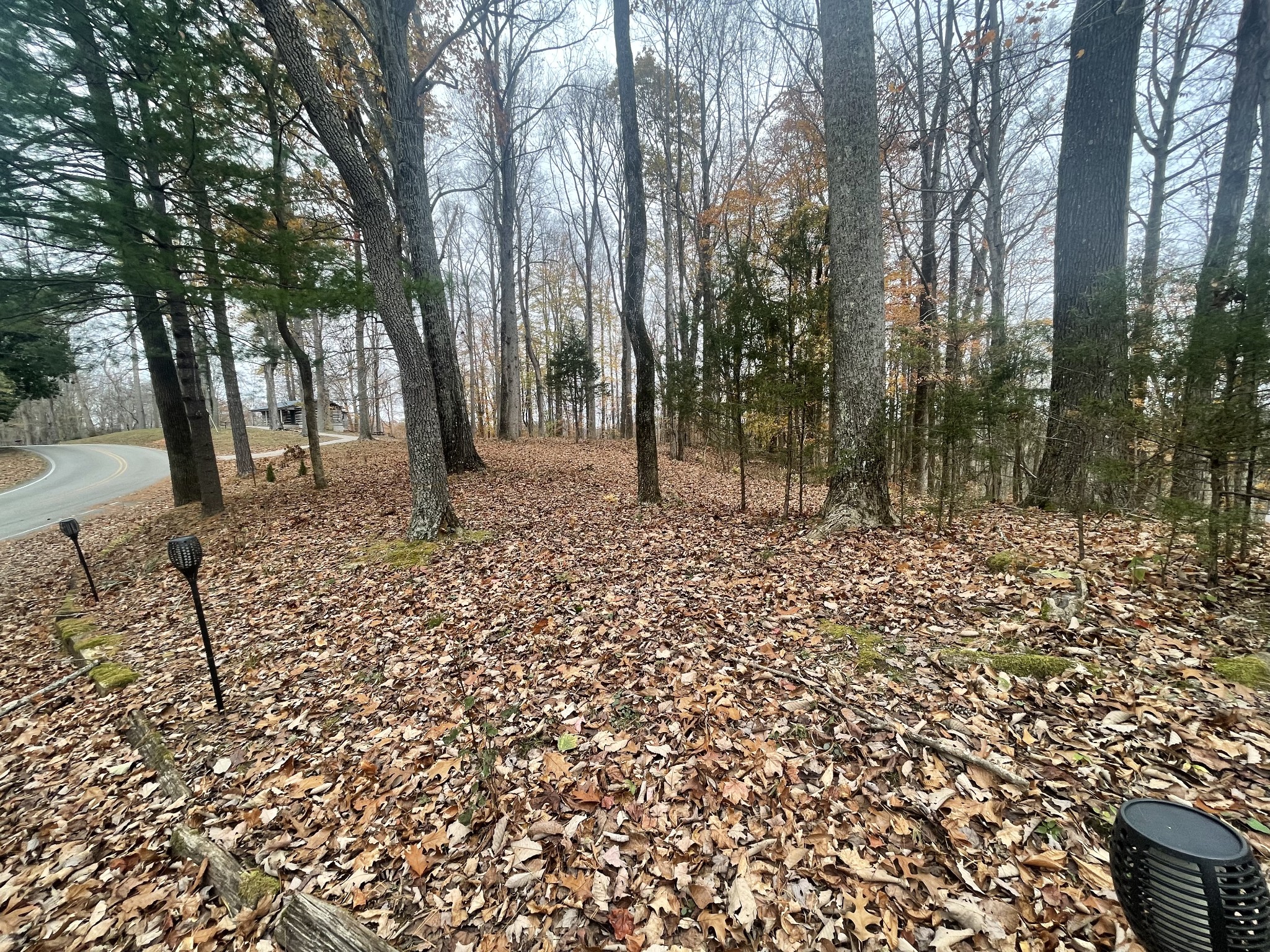 2029 Holly Creek Rd Property Photo 35