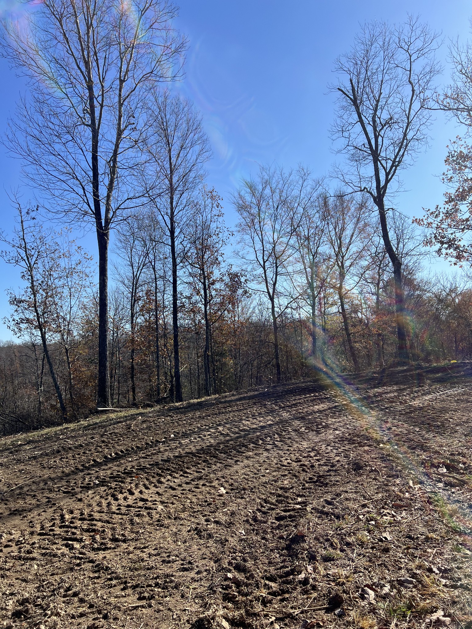 91d Rolling Hills Property Photo 1